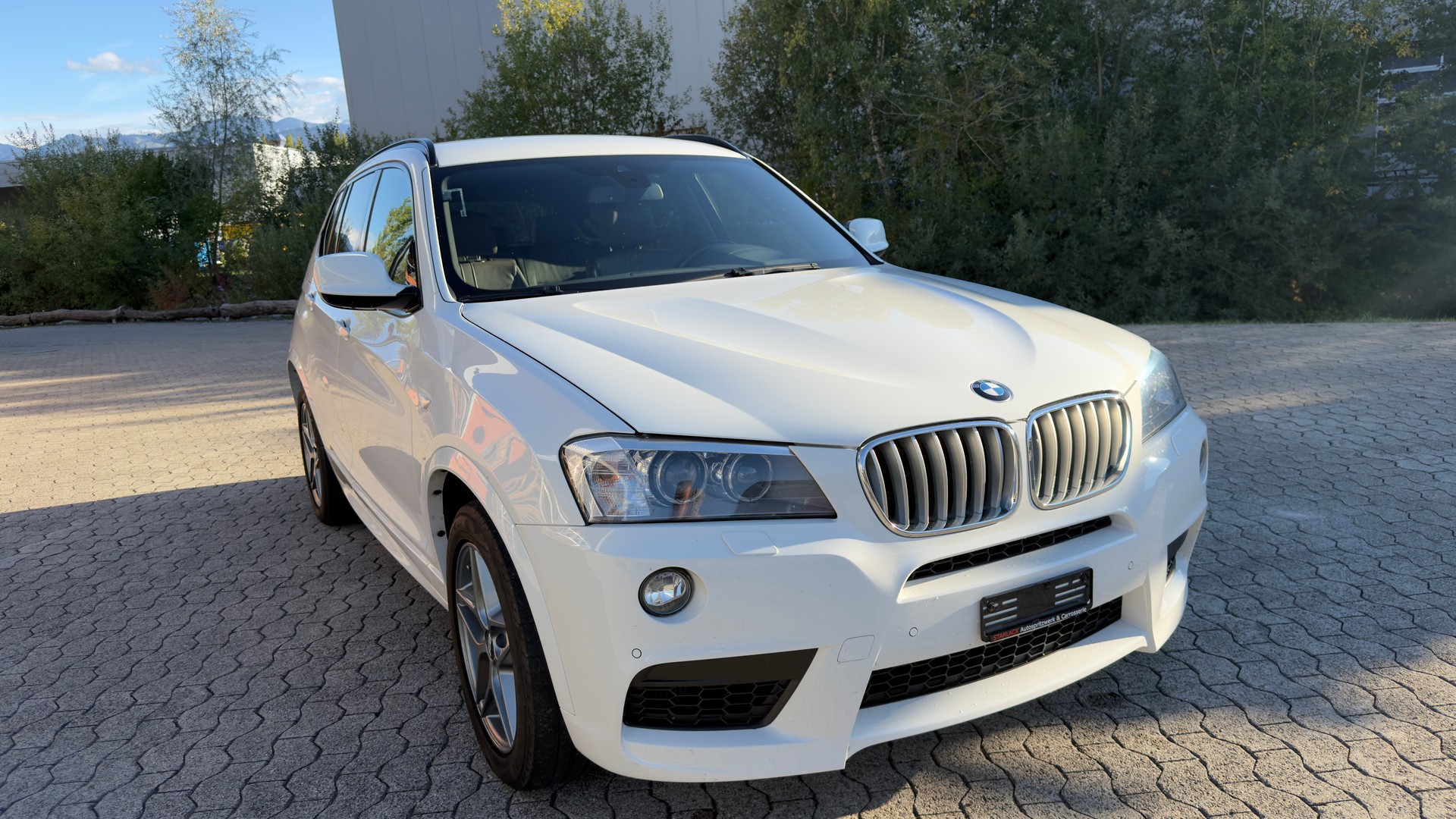 BMW X3 xDrive 35d Steptronic-image-6