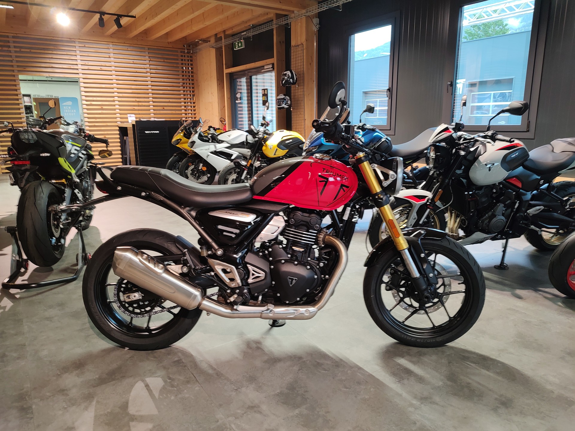 TRIUMPH Speed 400-image-0