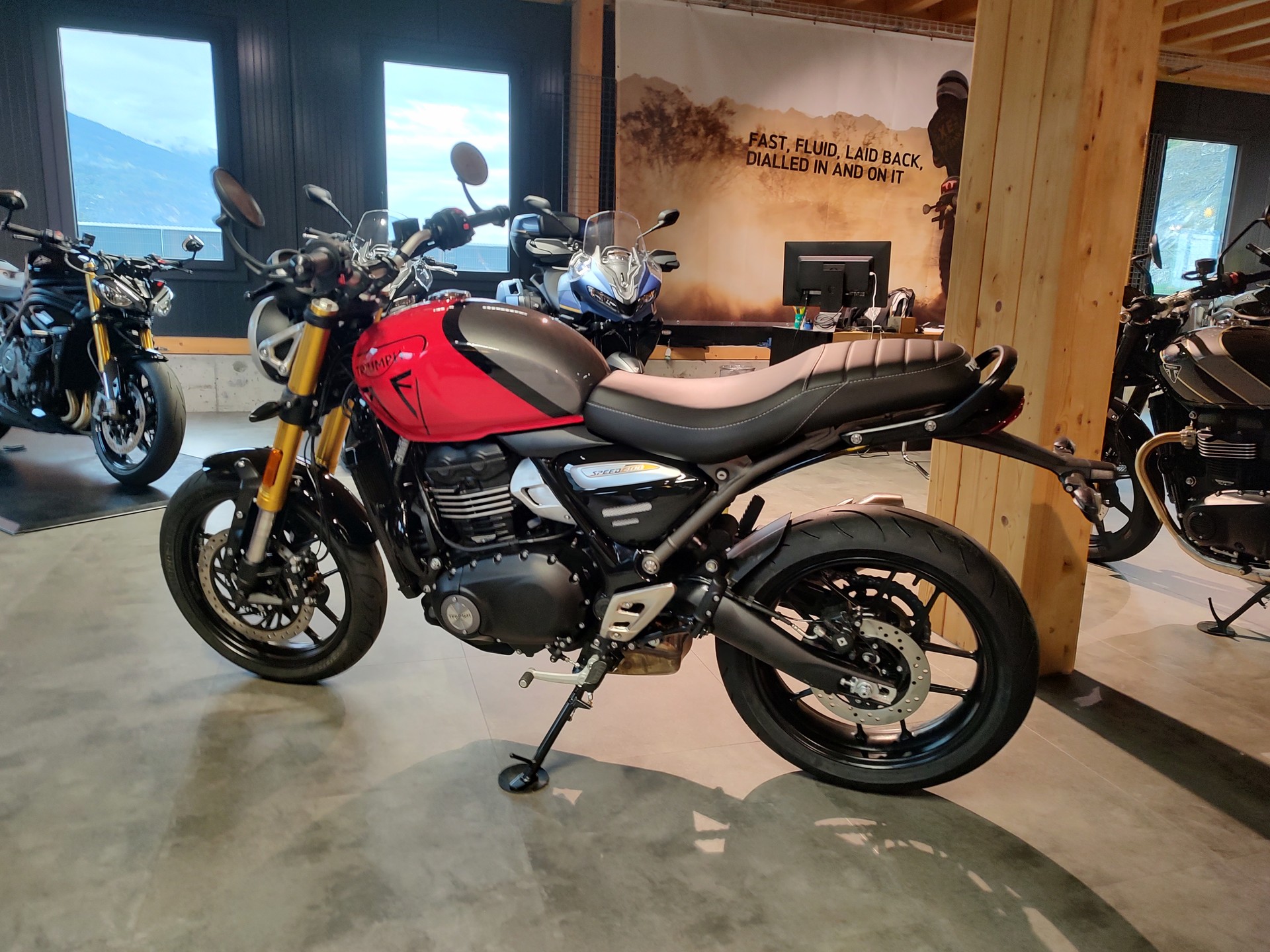 TRIUMPH Speed 400-image-3