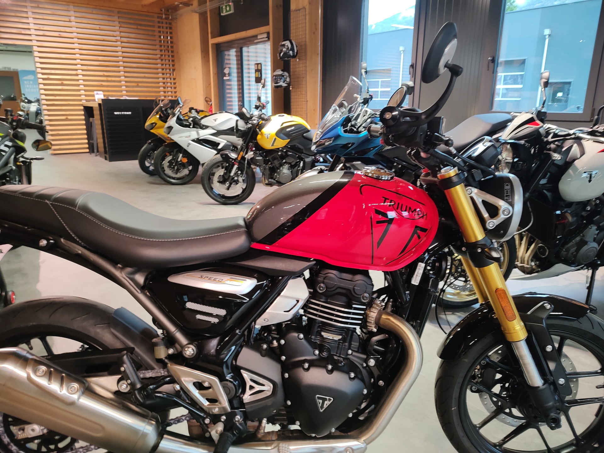 TRIUMPH Speed 400-image-1
