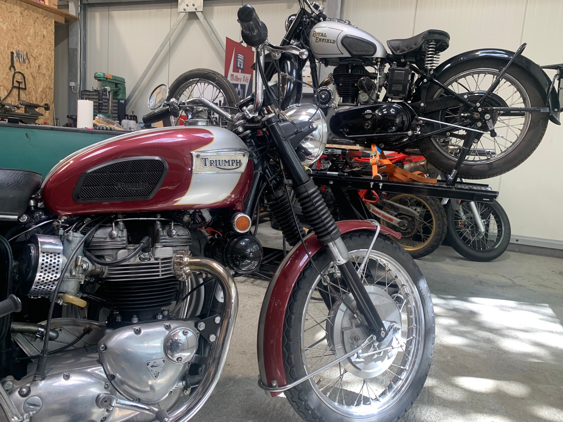 TRIUMPH T120 R