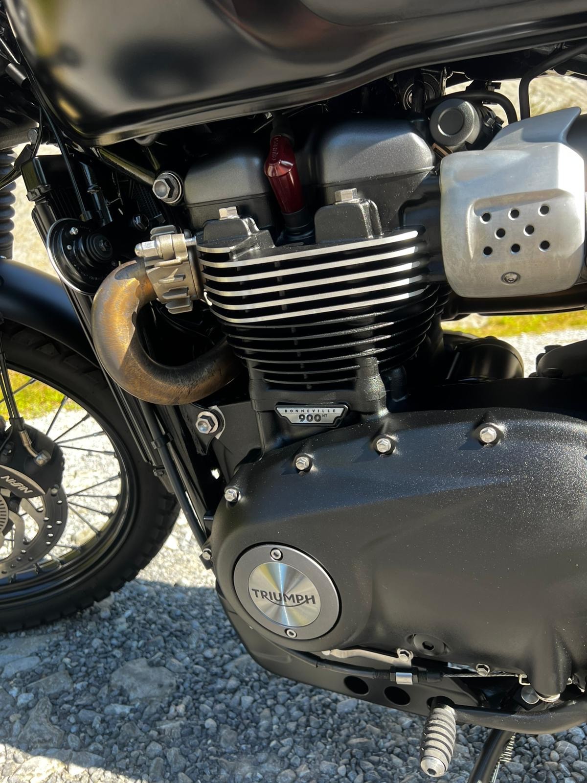 TRIUMPH Scrambler 900-image-2