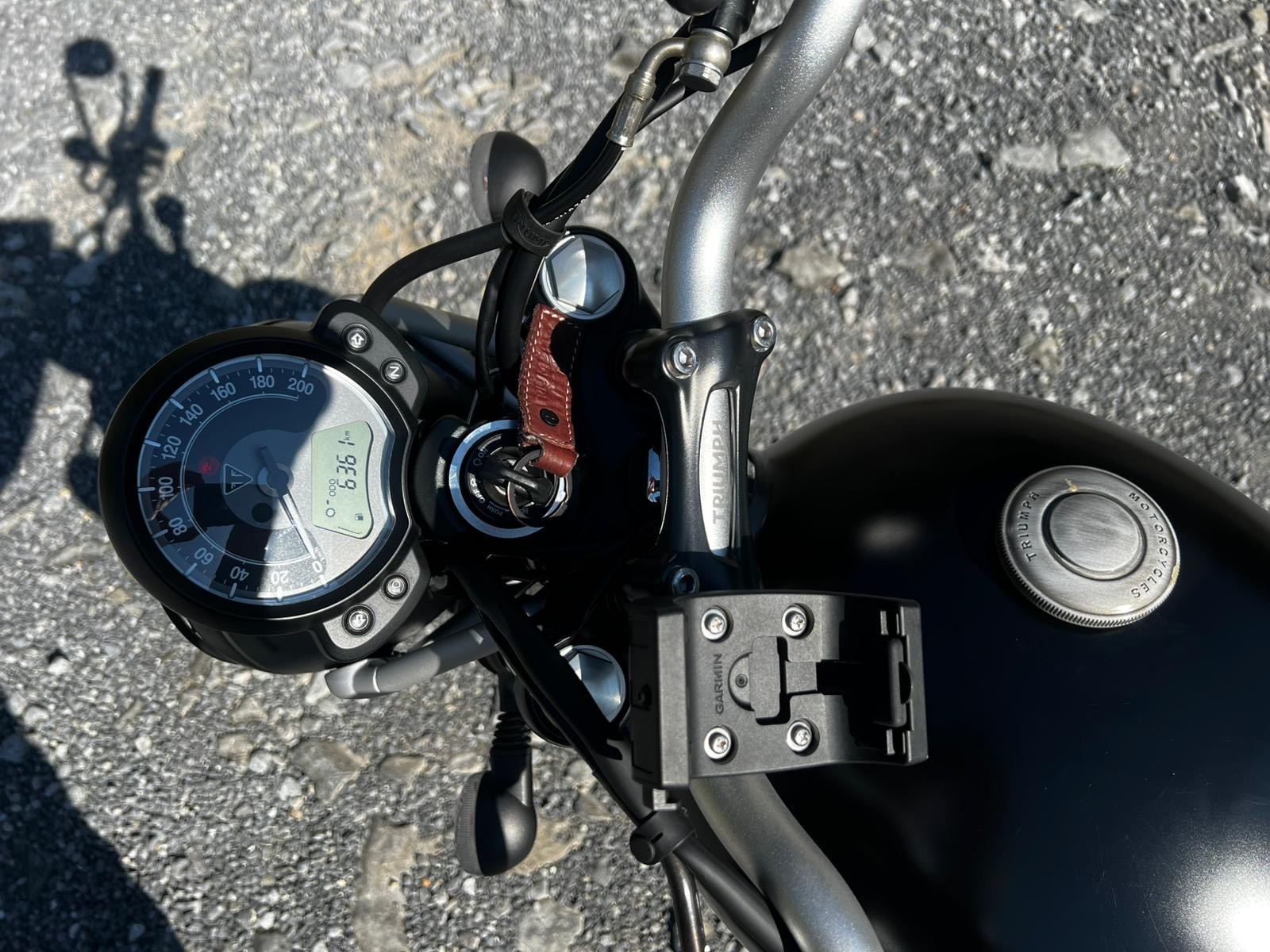TRIUMPH Scrambler 900-image-3