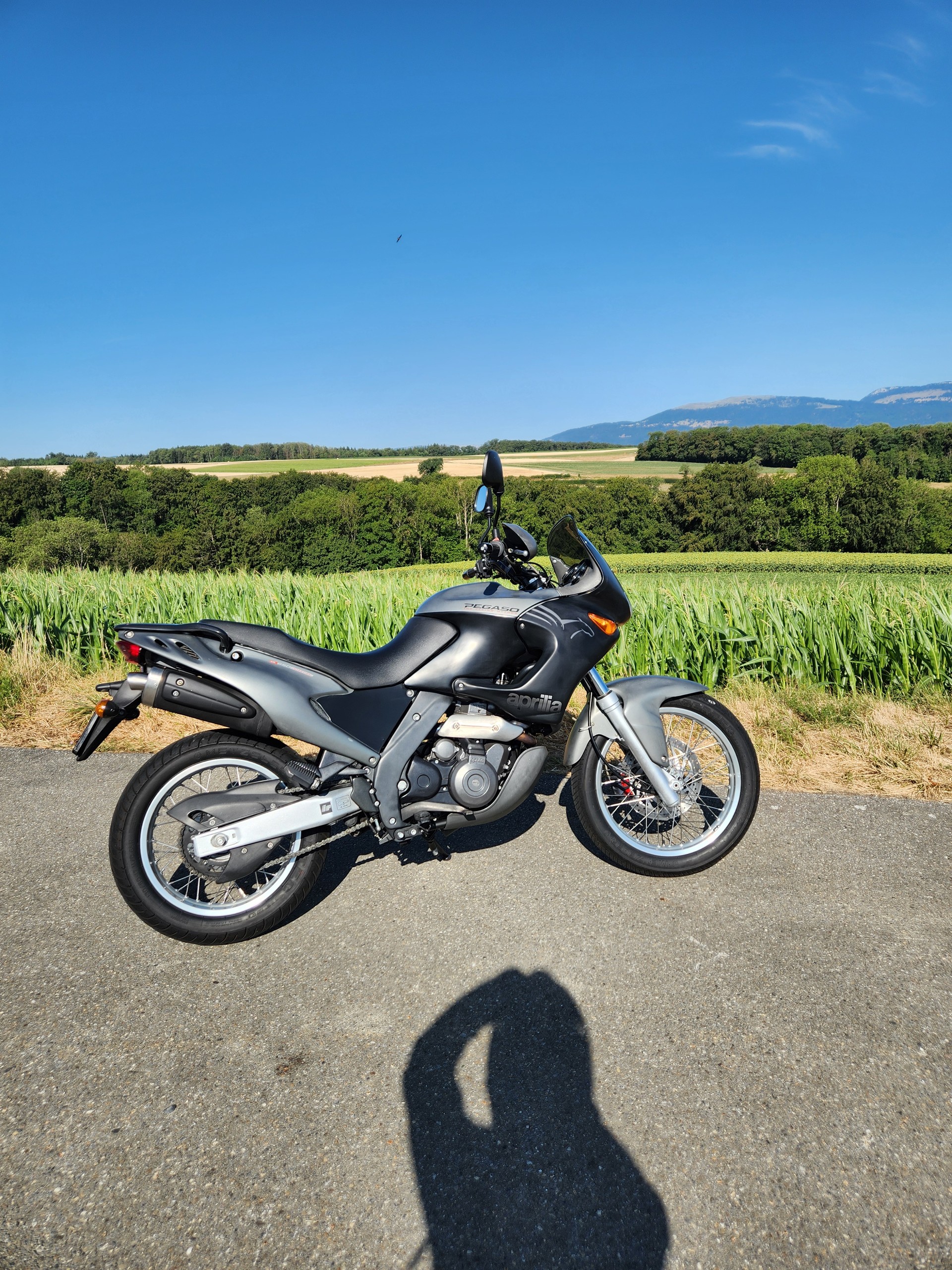 APRILIA Pegaso 650 I.E-image-6