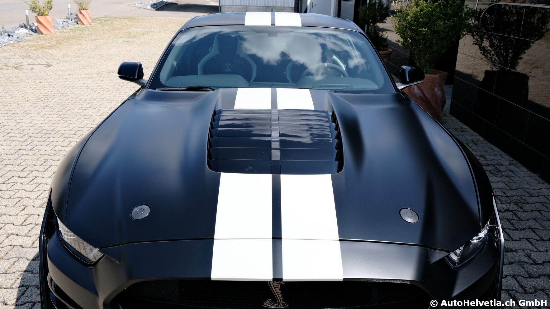 FORD Mustang Shelby GT 500 - Carbon Fiber Track Pack Predator GT500-showroom-element-3