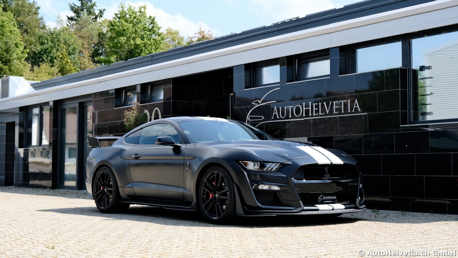 FORD Mustang Shelby GT 500 - Carbon Fiber Track Pack Predator GT500