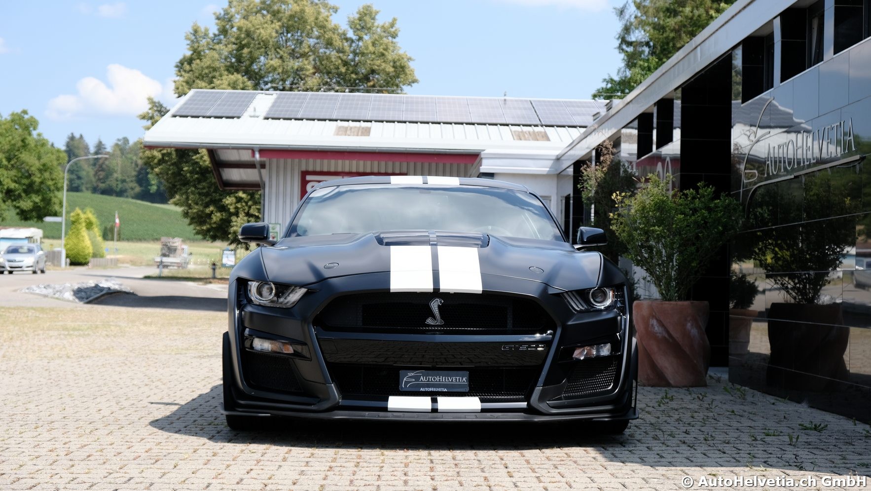 FORD Mustang Shelby GT 500 - Carbon Fiber Track Pack Predator GT500-showroom-element-2