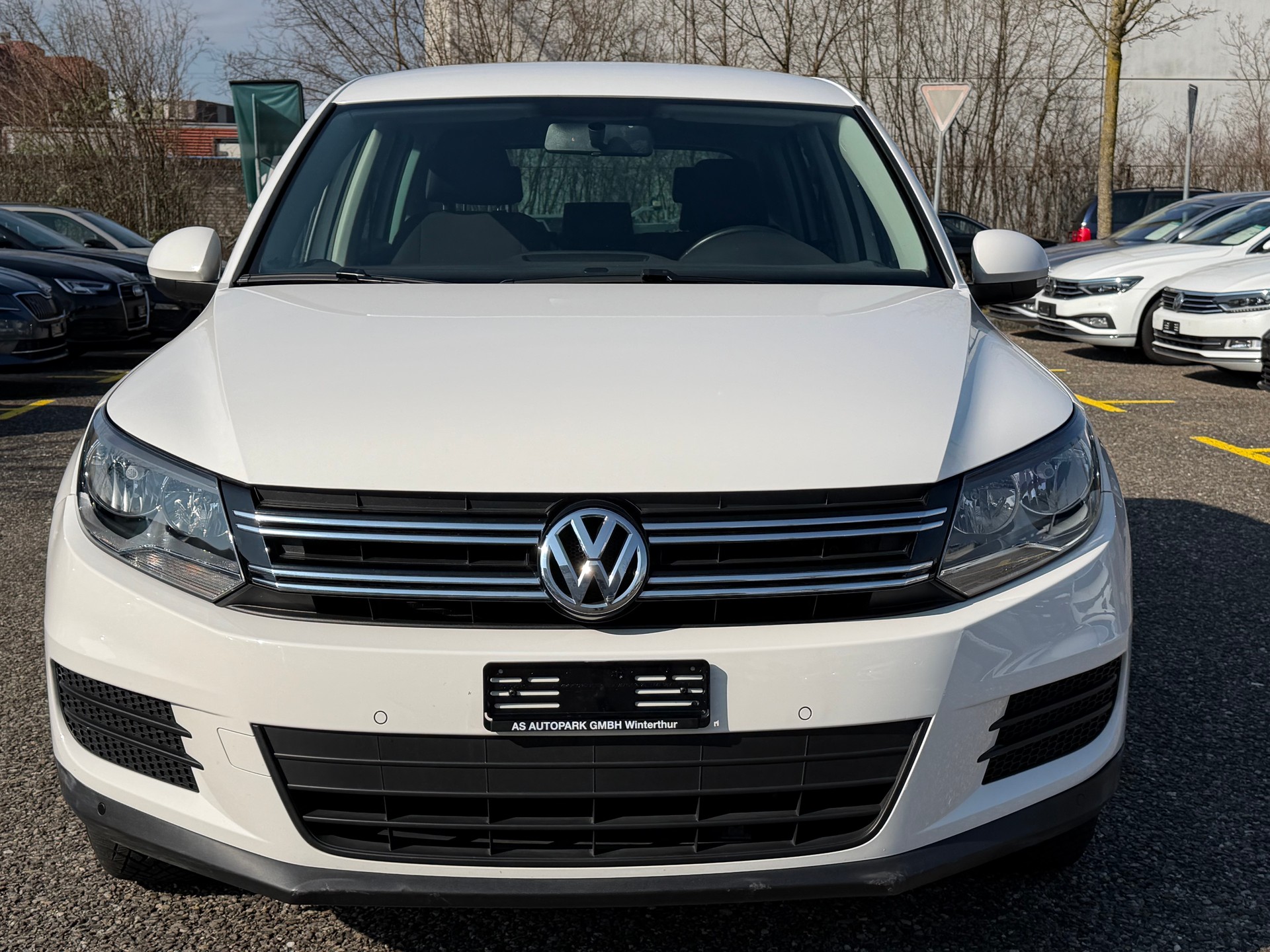 VW Tiguan 2.0 TDI BlueMotion Trend&Fun 4Motion DSG-showroom-element-1