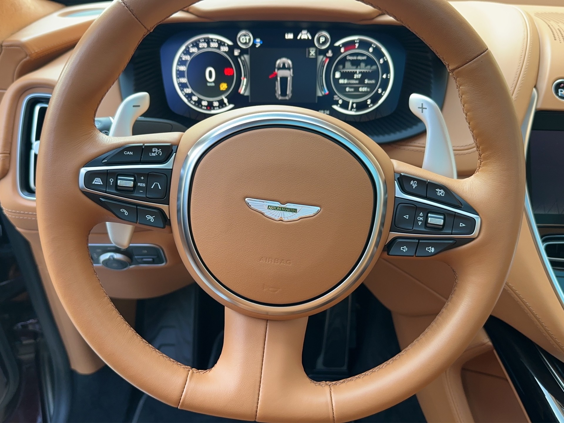 ASTON MARTIN DBX 4.0 V8 (CH)-image-14