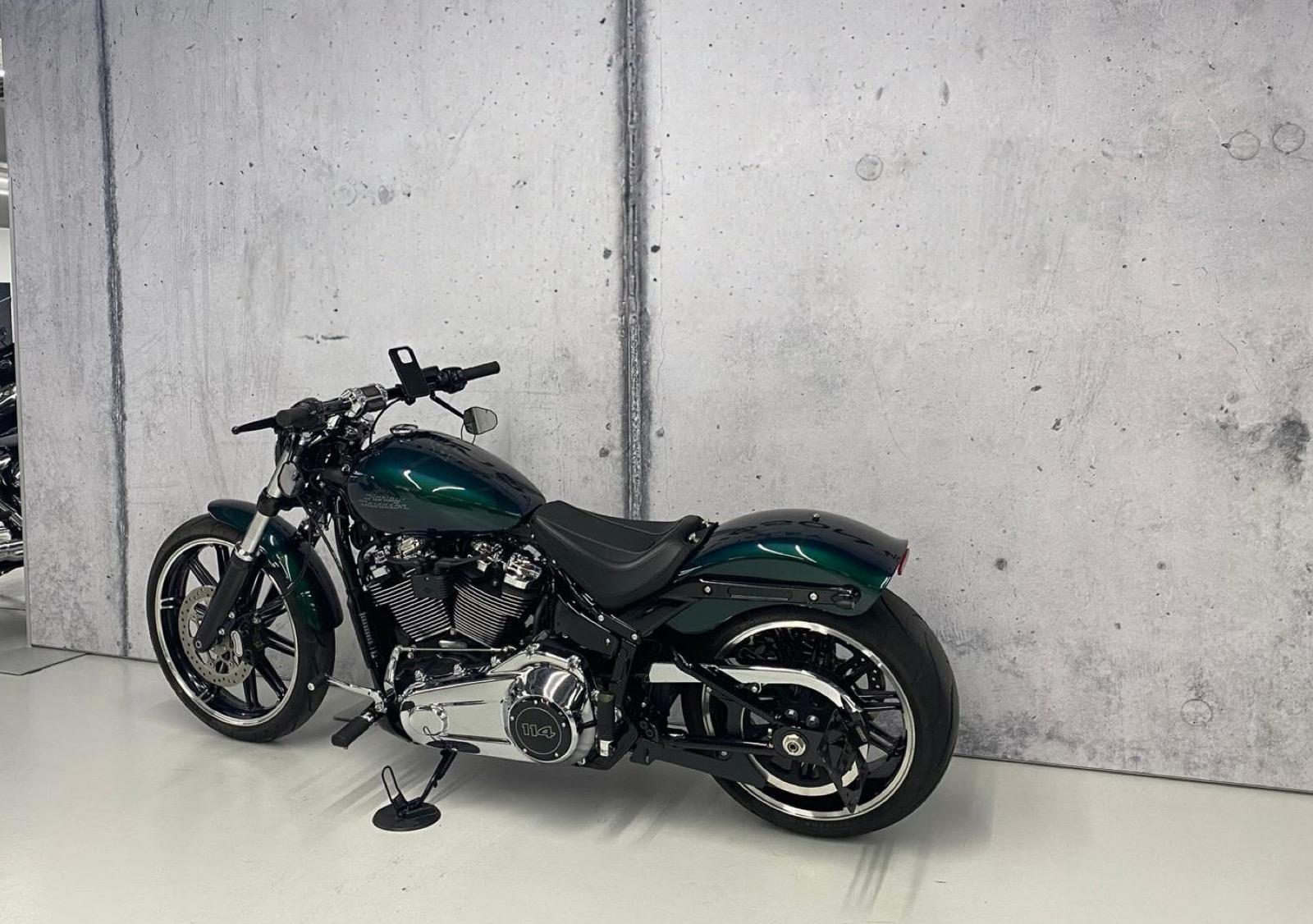 HARLEY-DAVIDSON FXBRS Breakout 114-image-3