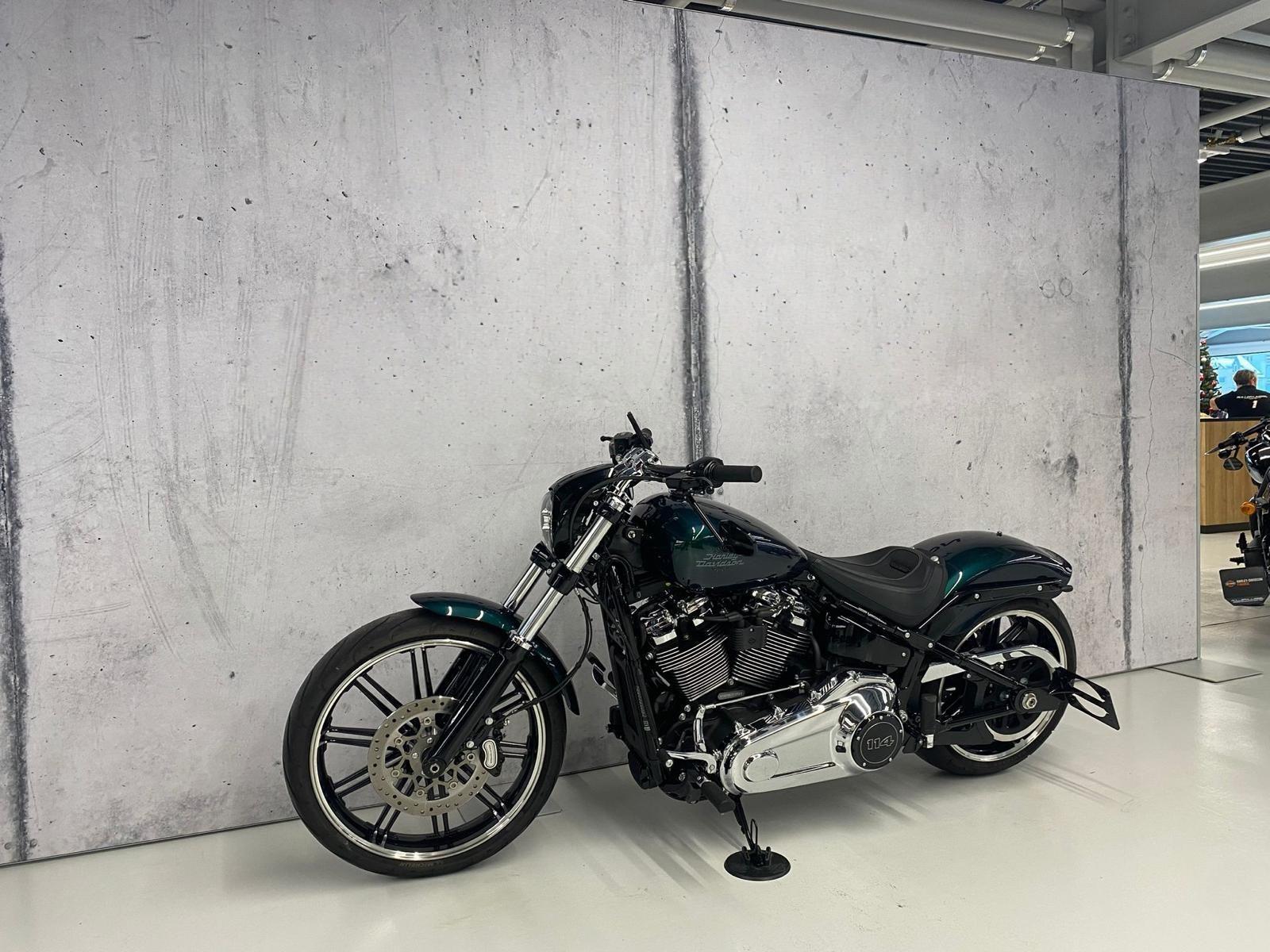 HARLEY-DAVIDSON FXBRS Breakout 114-image-5
