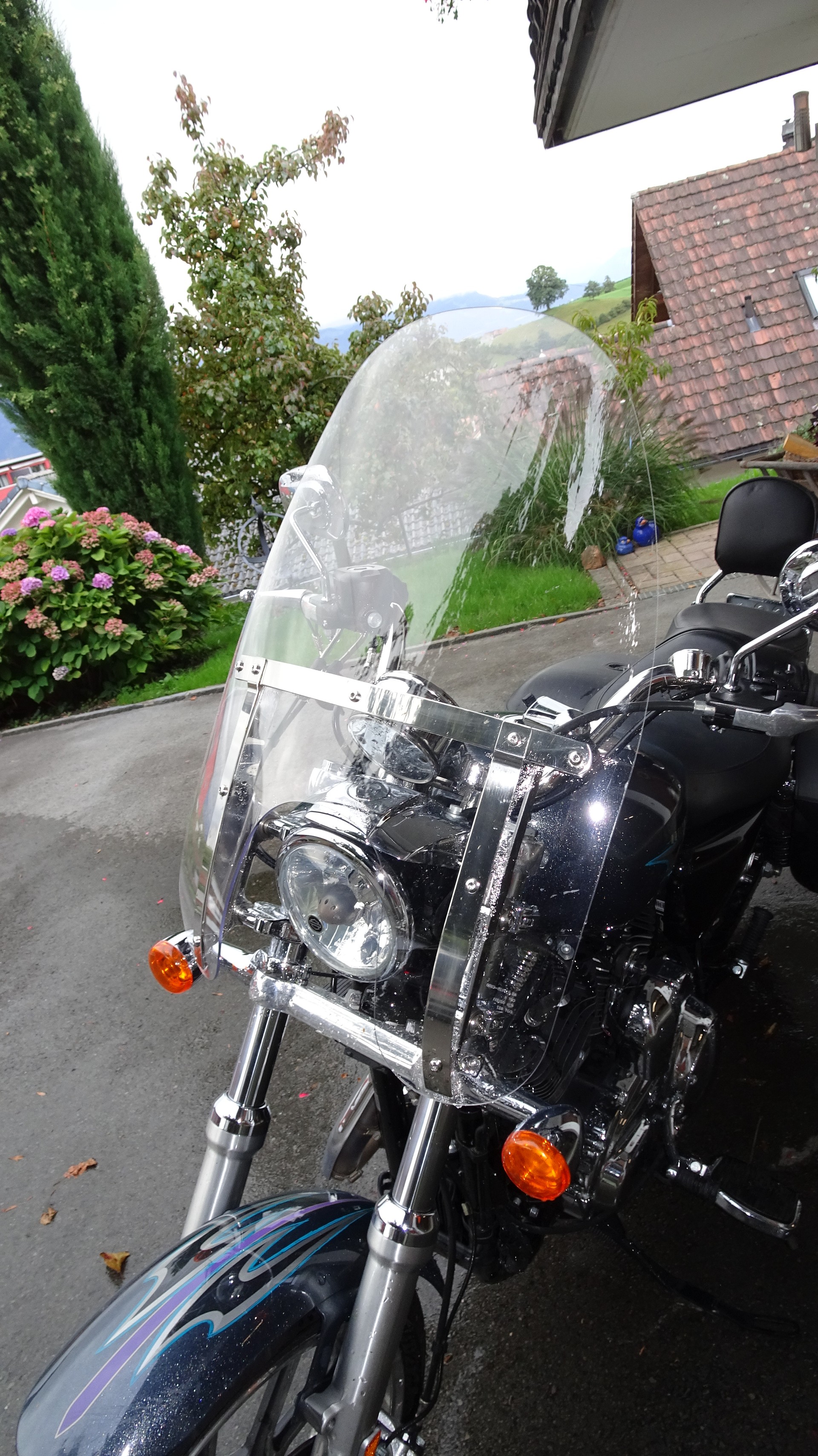 HARLEY-DAVIDSON XL 1200 C Sportster Superlow ABS-image-10