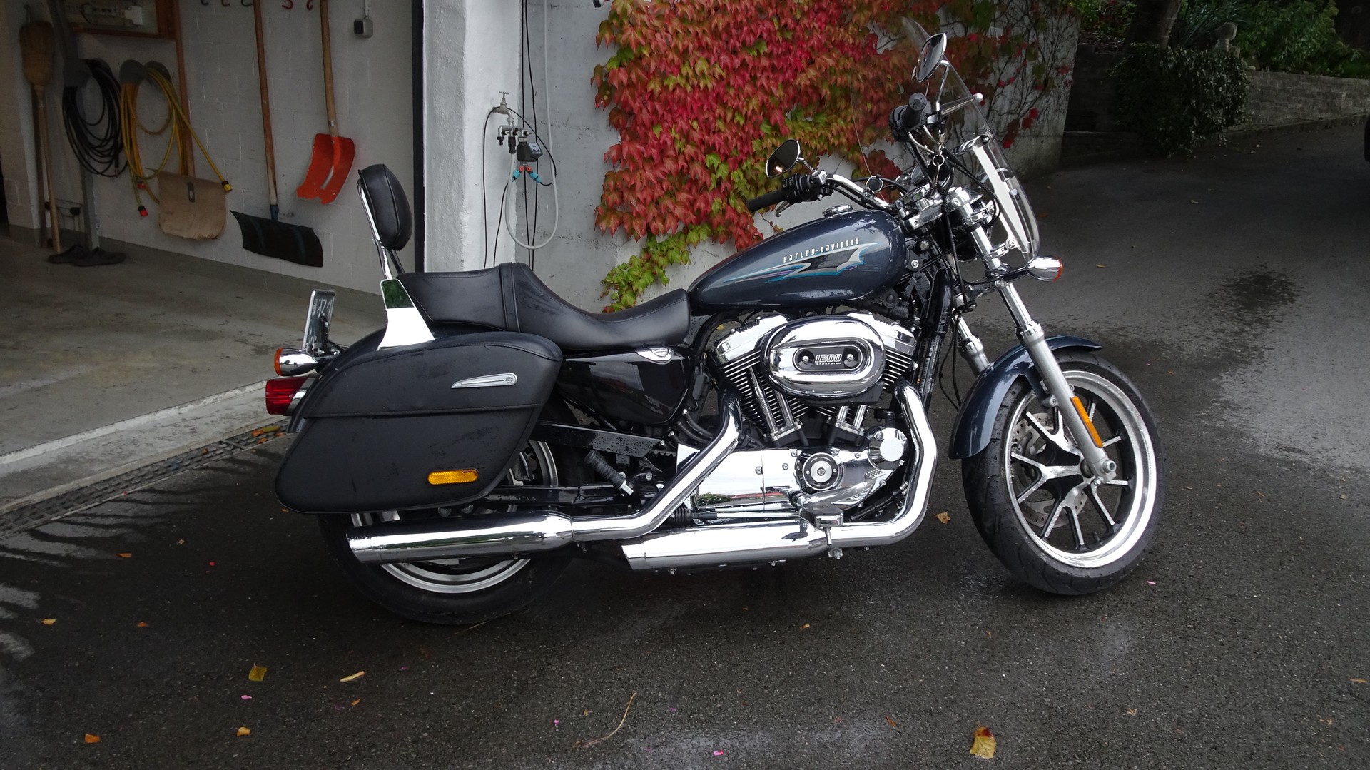 HARLEY-DAVIDSON XL 1200 C Sportster Superlow ABS-image-7