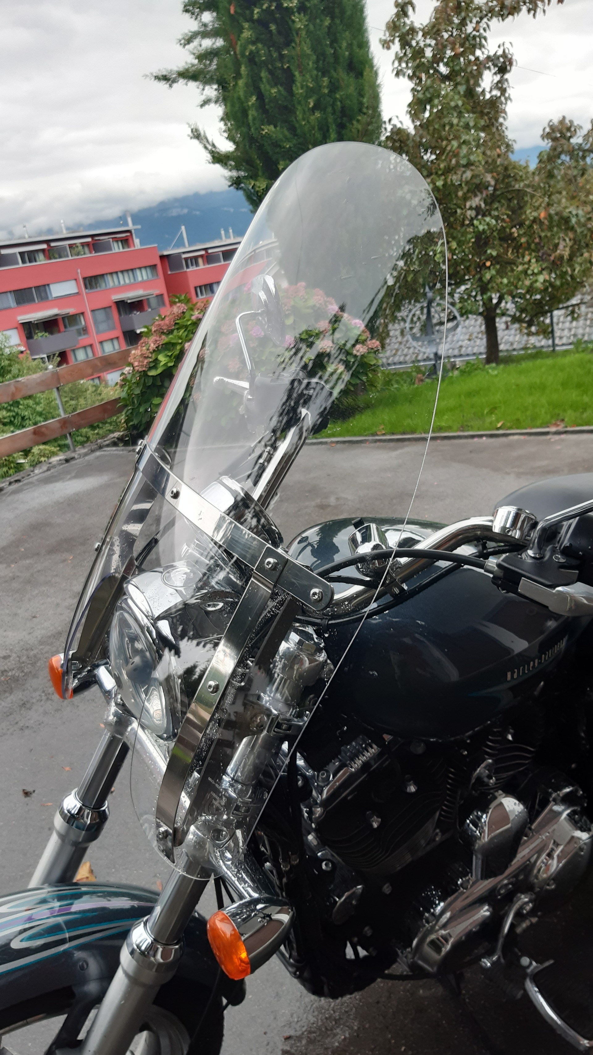 HARLEY-DAVIDSON XL 1200 C Sportster Superlow ABS-image-2