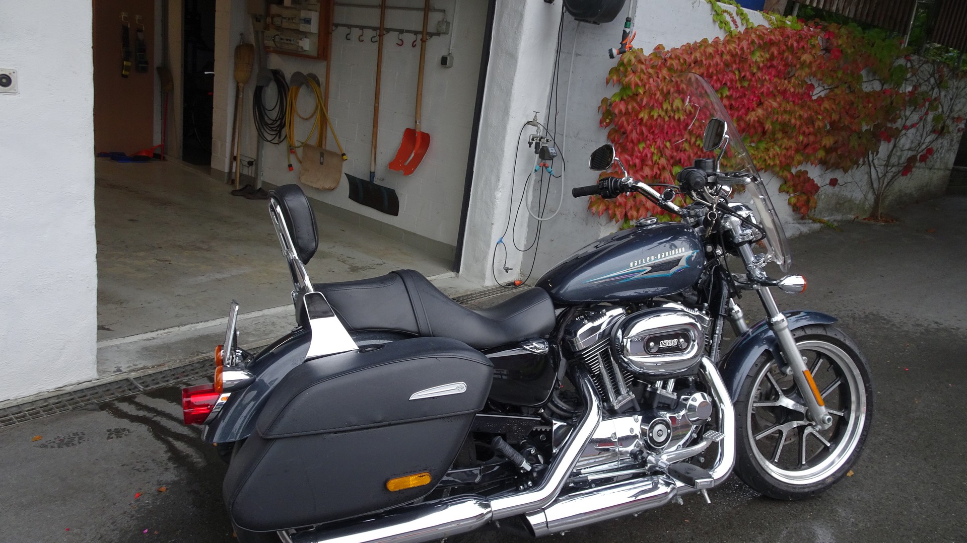 HARLEY-DAVIDSON XL 1200 C Sportster Superlow ABS-image-8