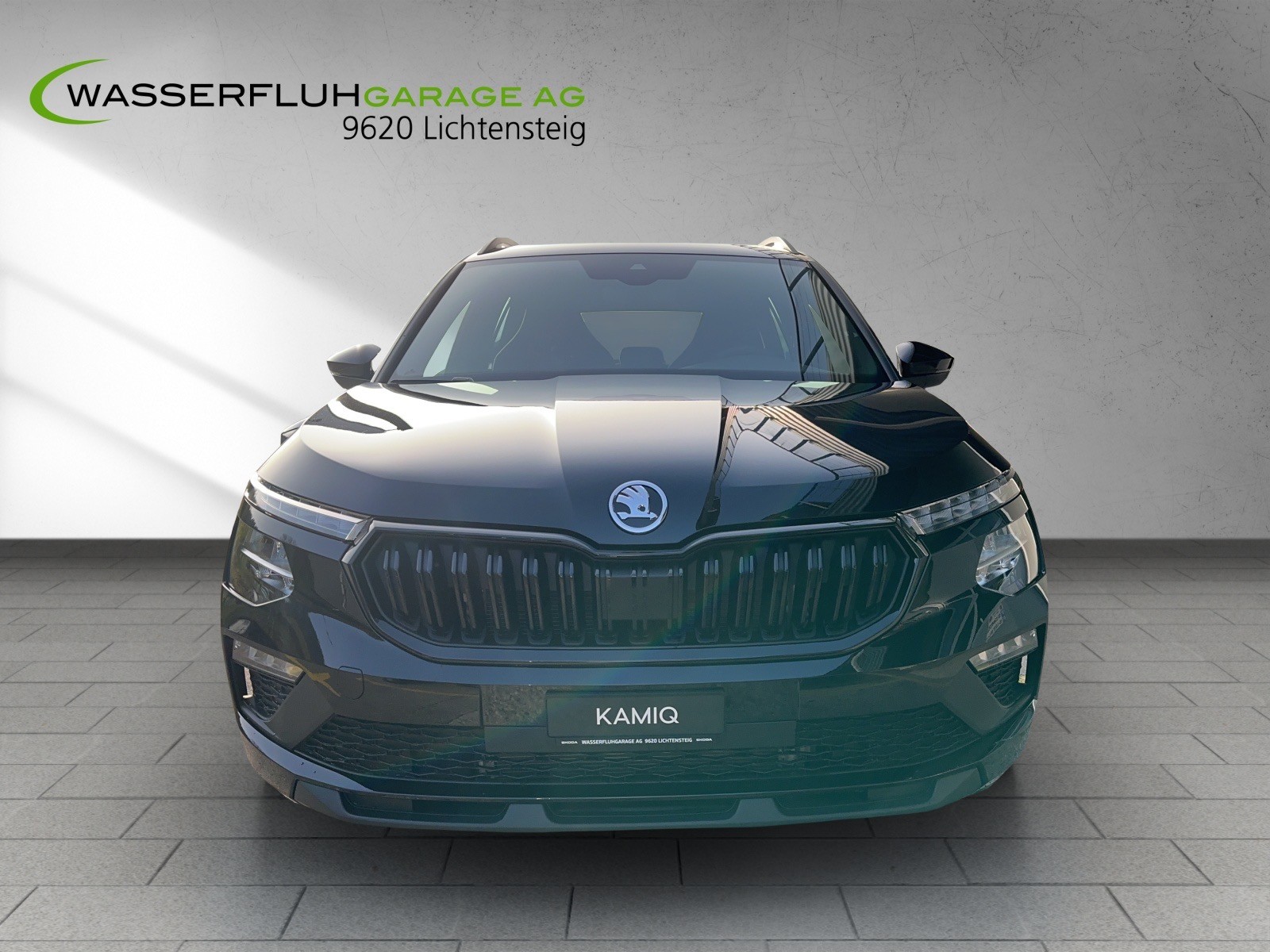 SKODA Kamiq 1.5 TSI Selection DSG-showroom-element-1