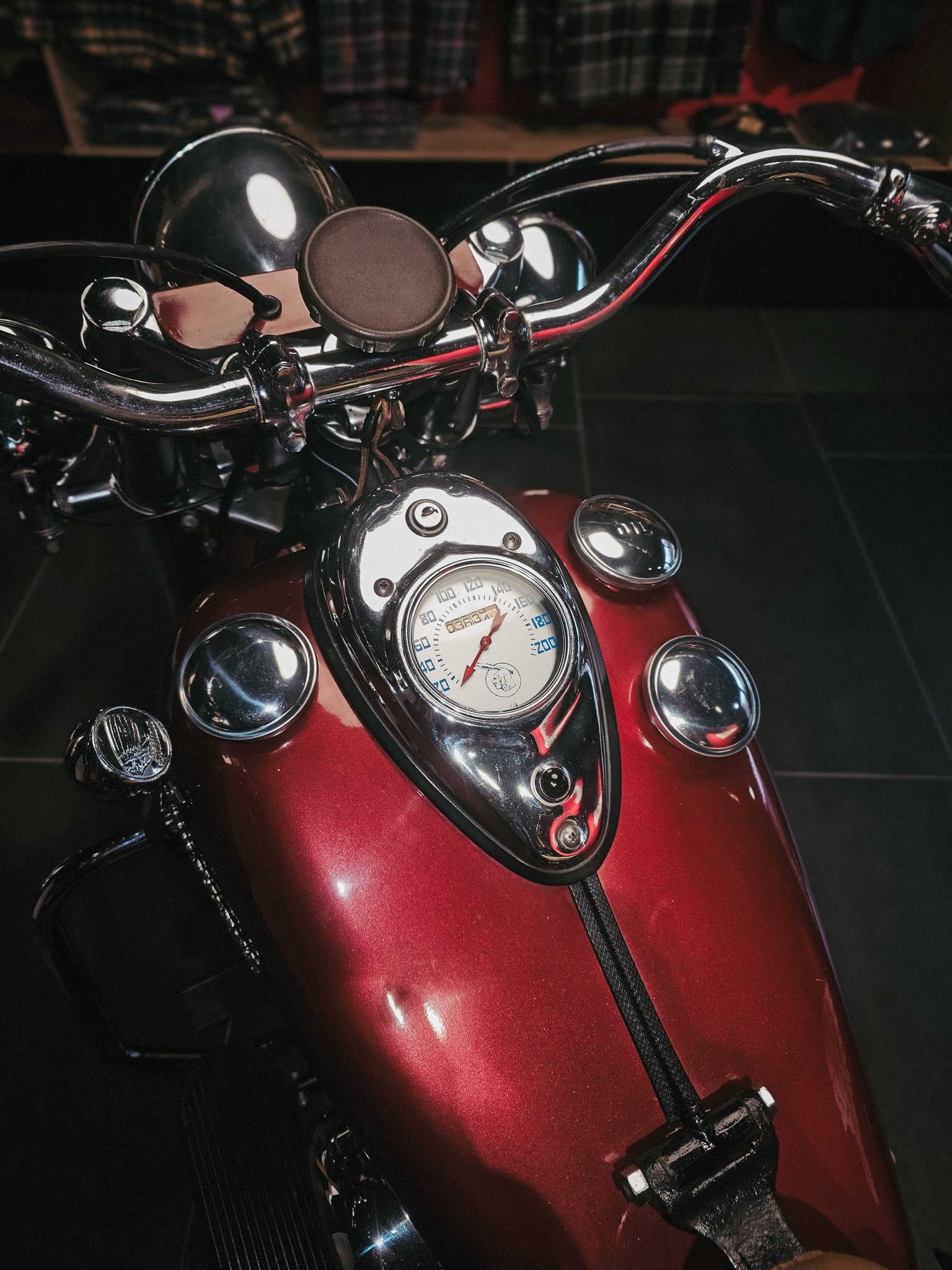 INDIAN CHIEF-image-3