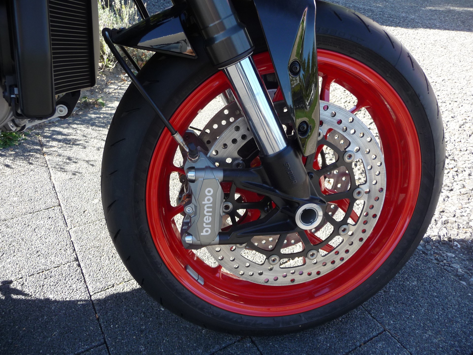 DUCATI Monster + Version-image-7