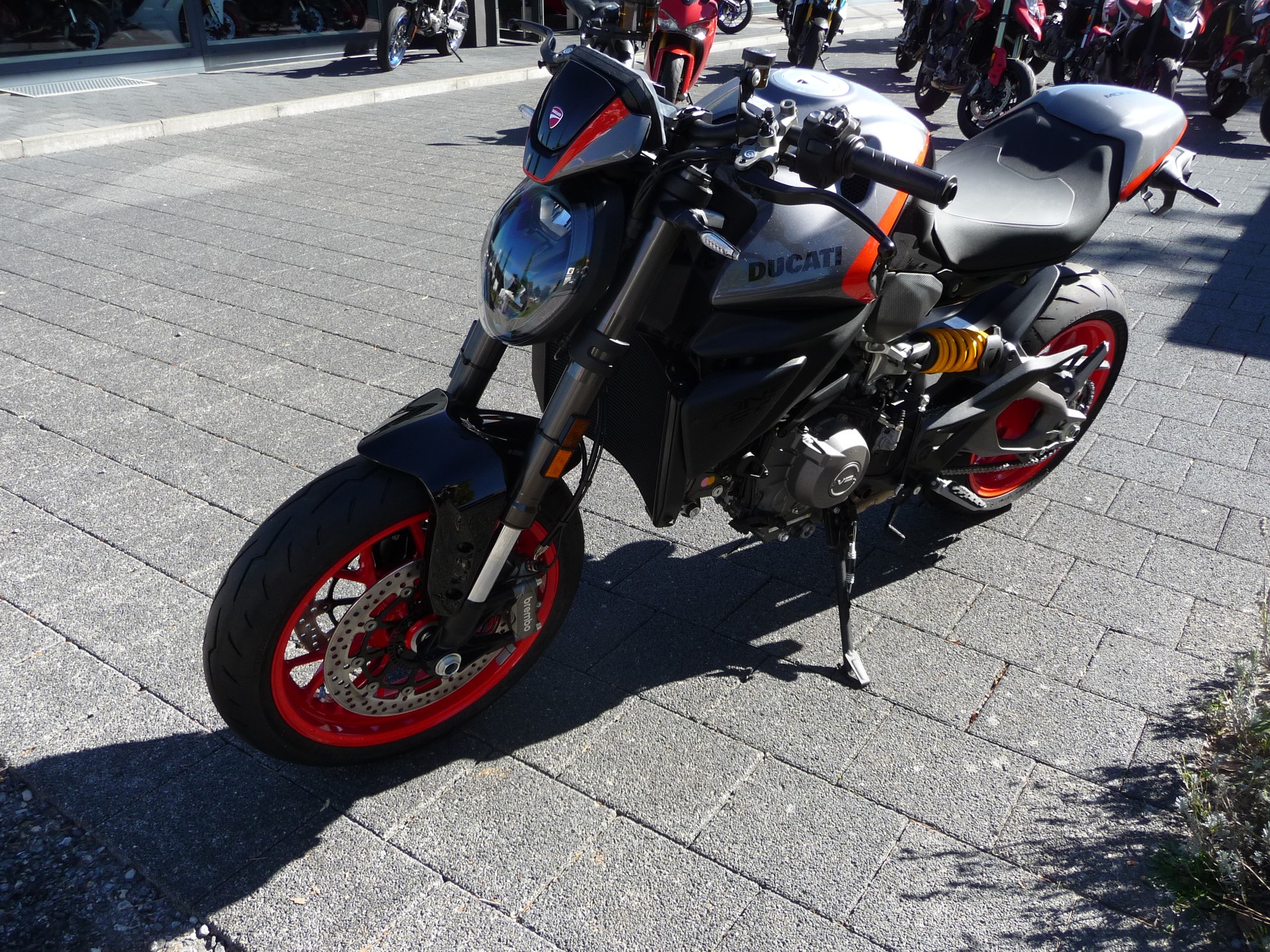 DUCATI Monster + Version-image-2