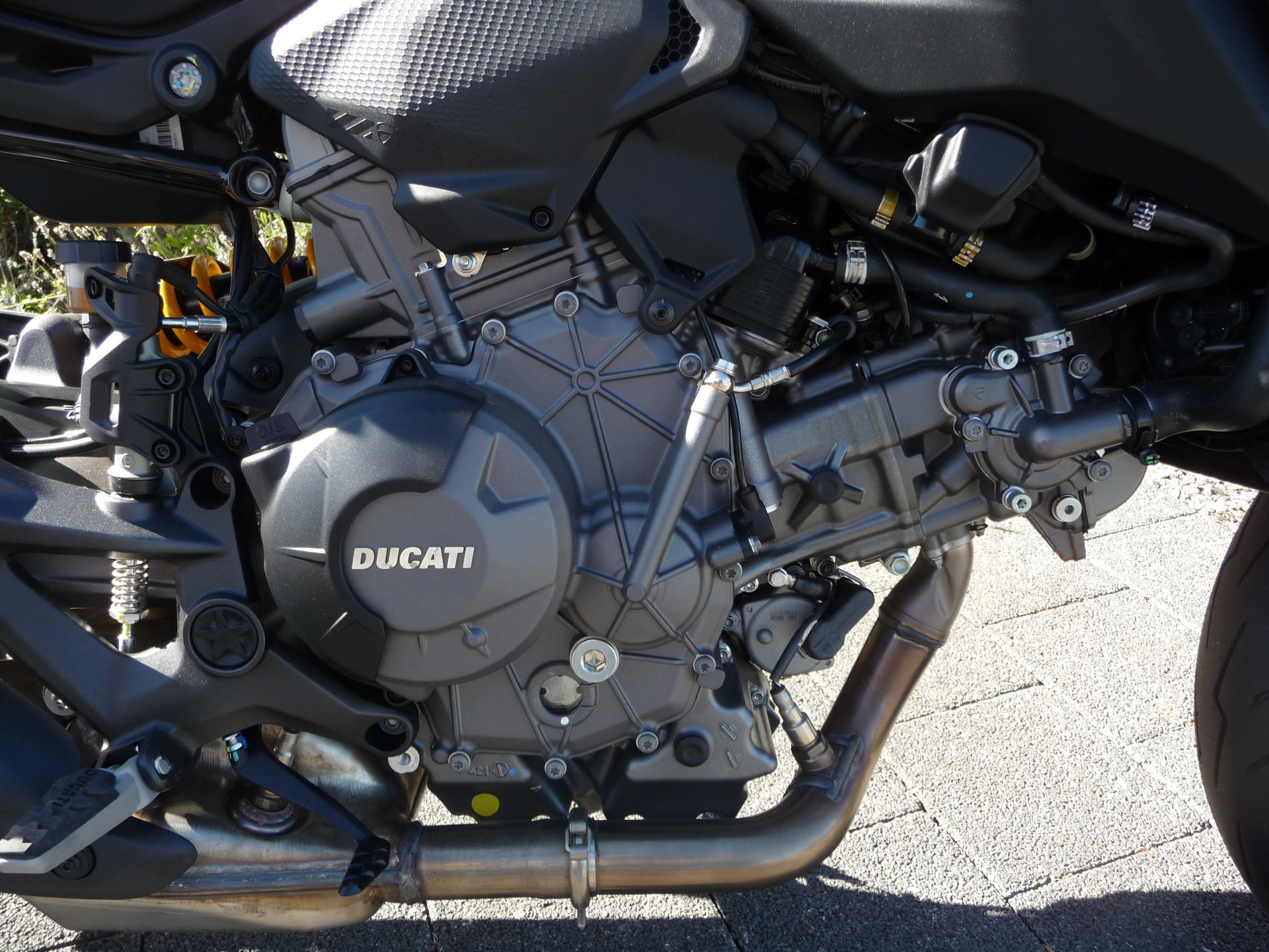 DUCATI Monster + Version-image-8