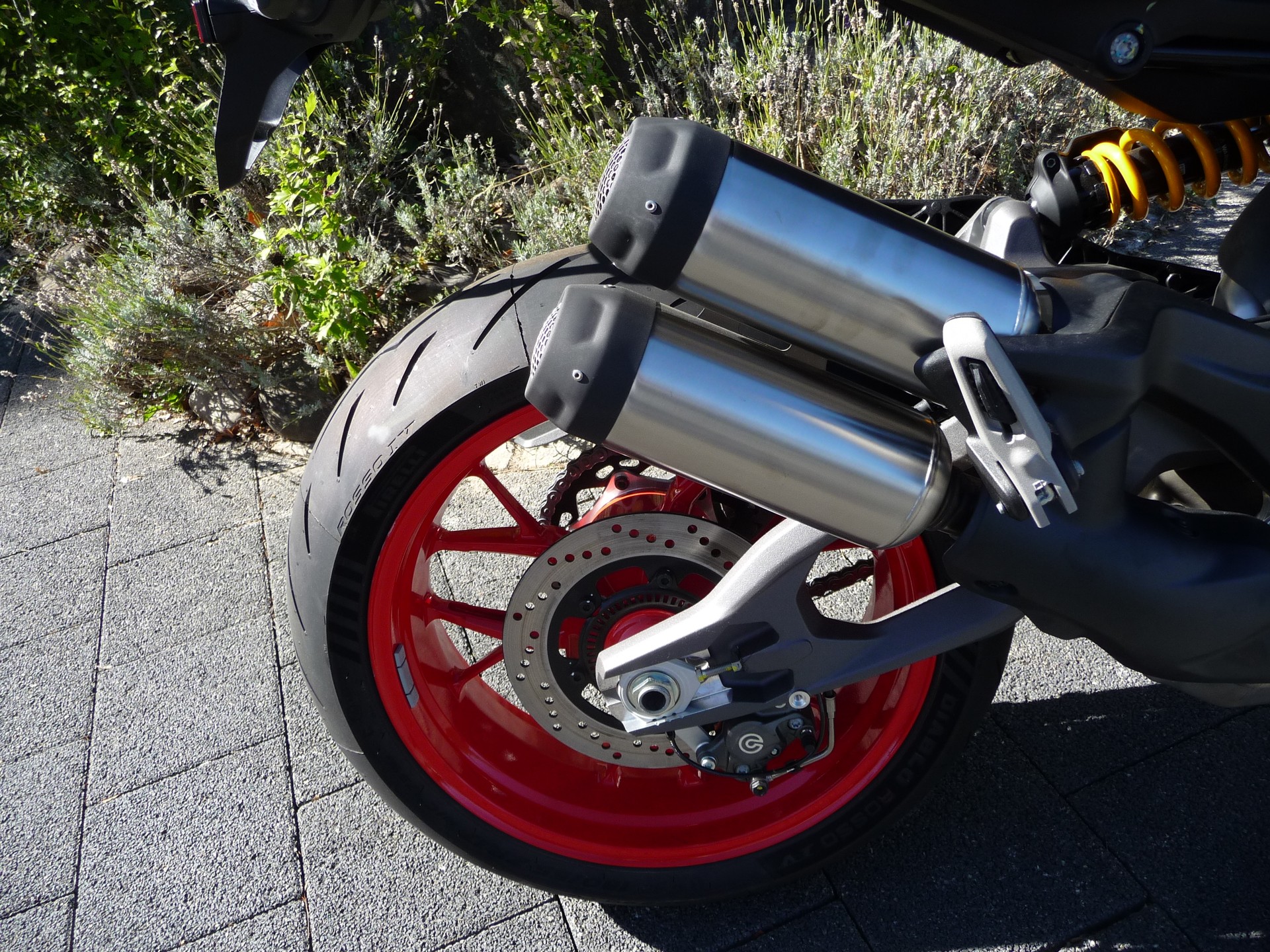DUCATI Monster + Version-image-6