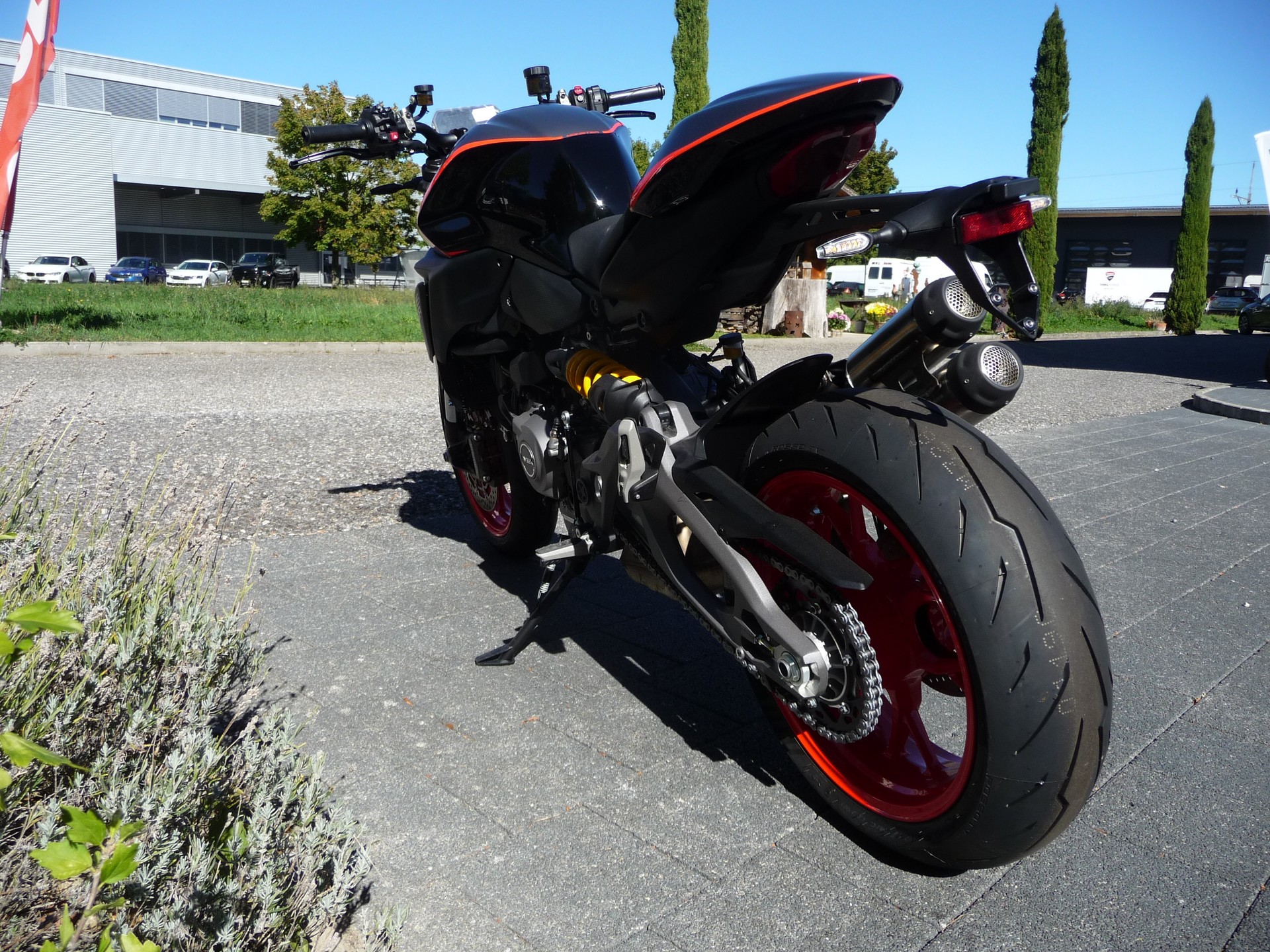 DUCATI Monster + Version-image-5