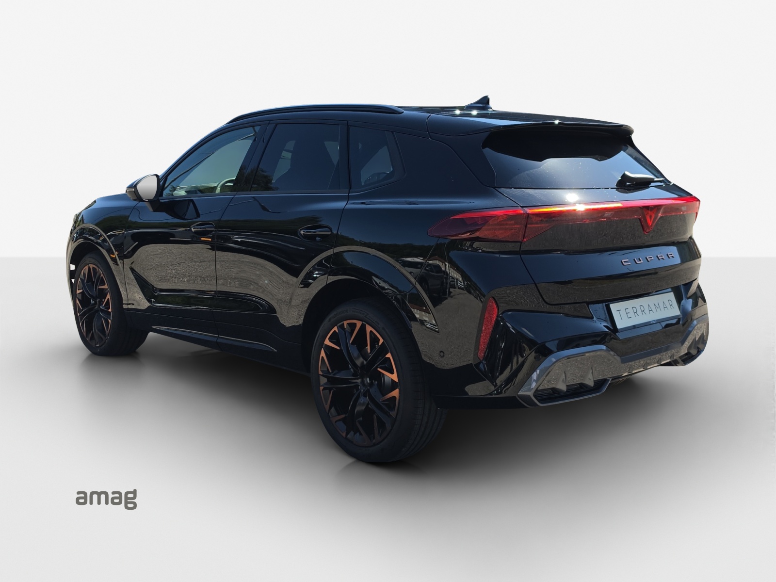 CUPRA CUPRA Terramar PE 2.0TSI 204 4-showroom-element-2