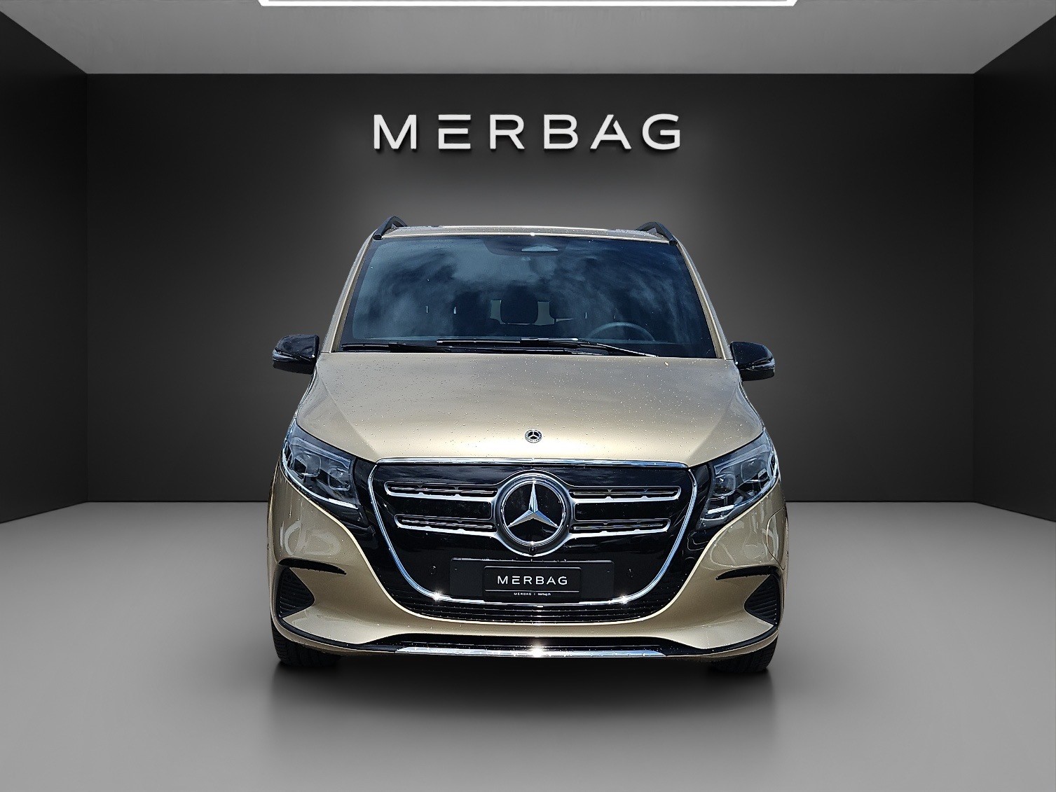 MERCEDES-BENZ EQV 300 lang-image-5