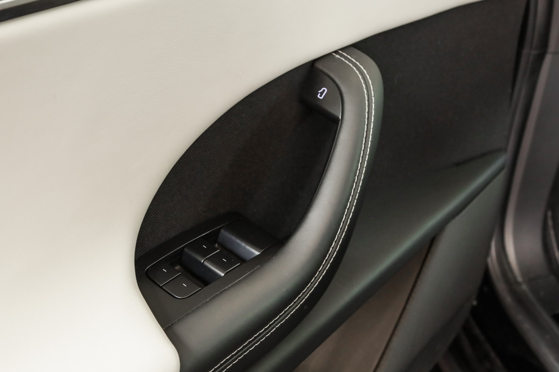 TESLA Model X 100kWh Plaid-image-24