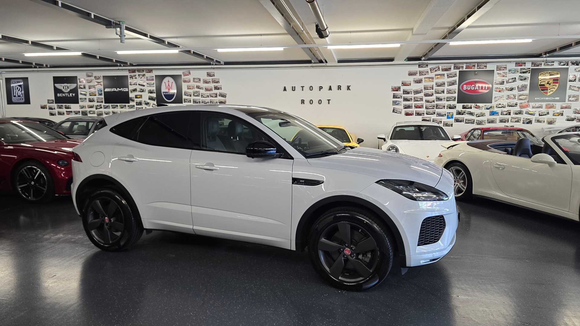 JAGUAR E-Pace 2.0 P250 R Dynamic SE AWD Automatik-showroom-element-2