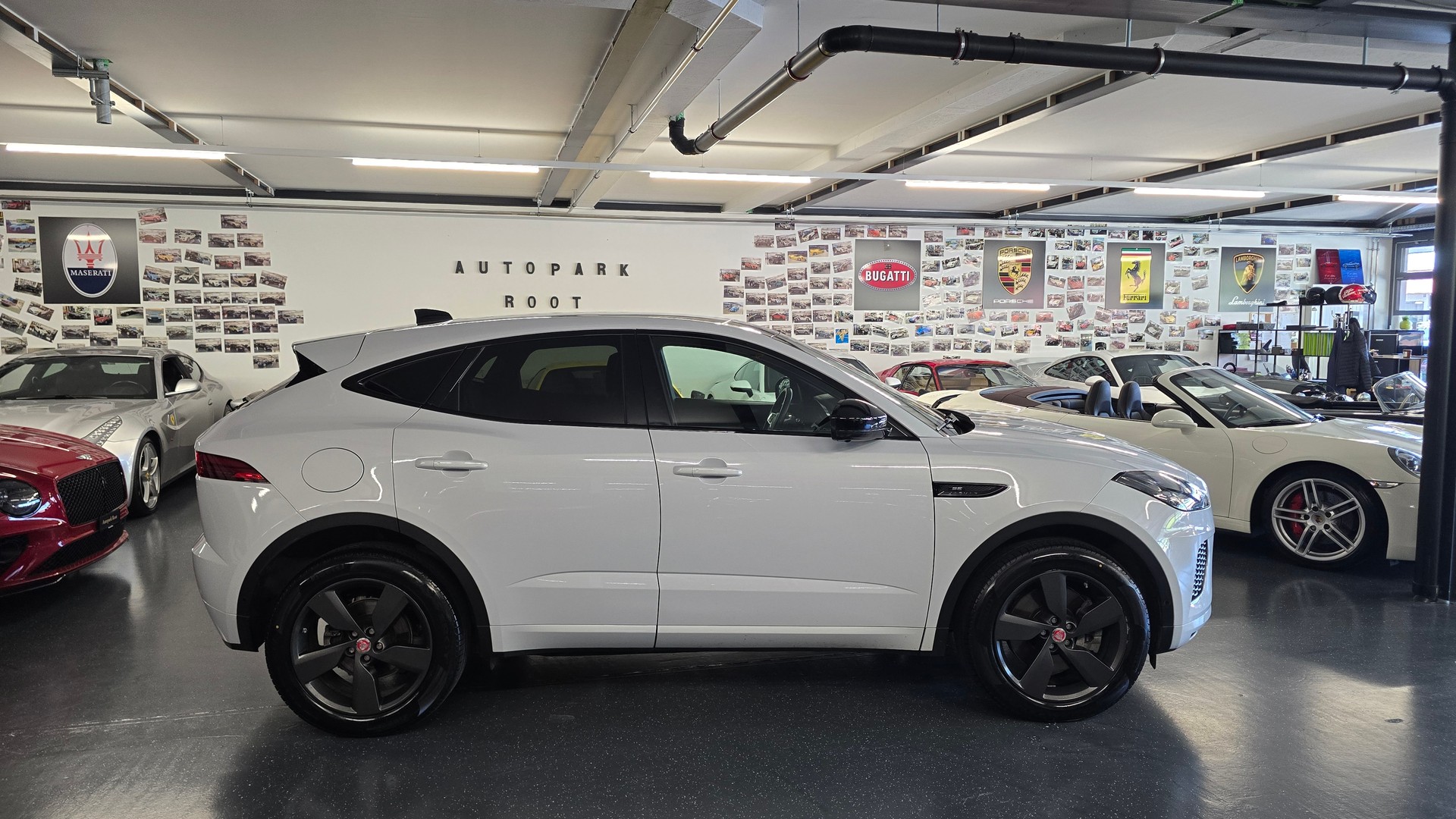 JAGUAR E-Pace 2.0 P250 R Dynamic SE AWD Automatik-showroom-element-3