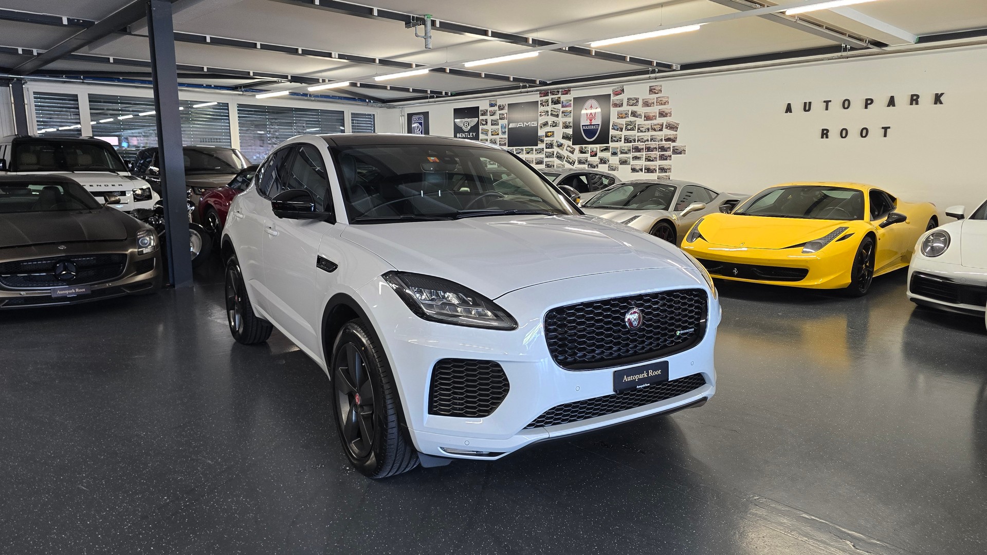 JAGUAR E-Pace 2.0 P250 R Dynamic SE AWD Automatik-showroom-element-1