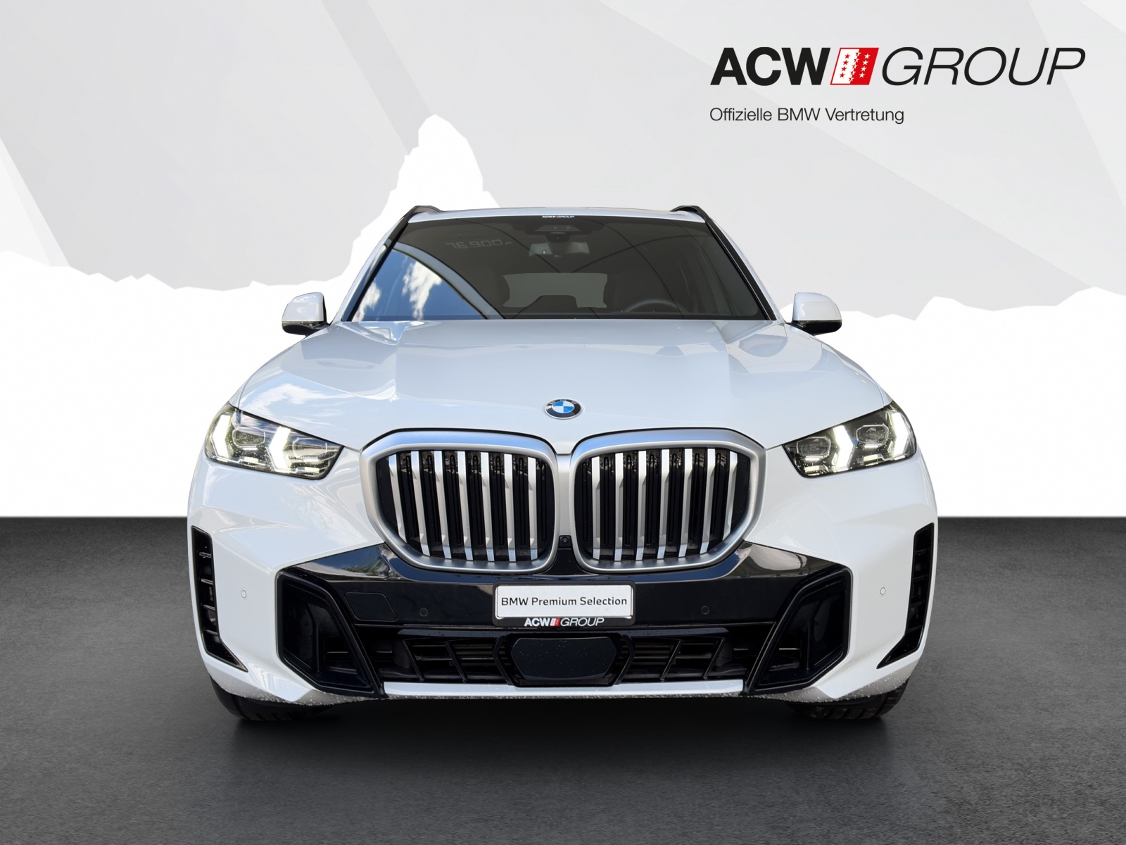 BMW X5 30d xDrive-image-7
