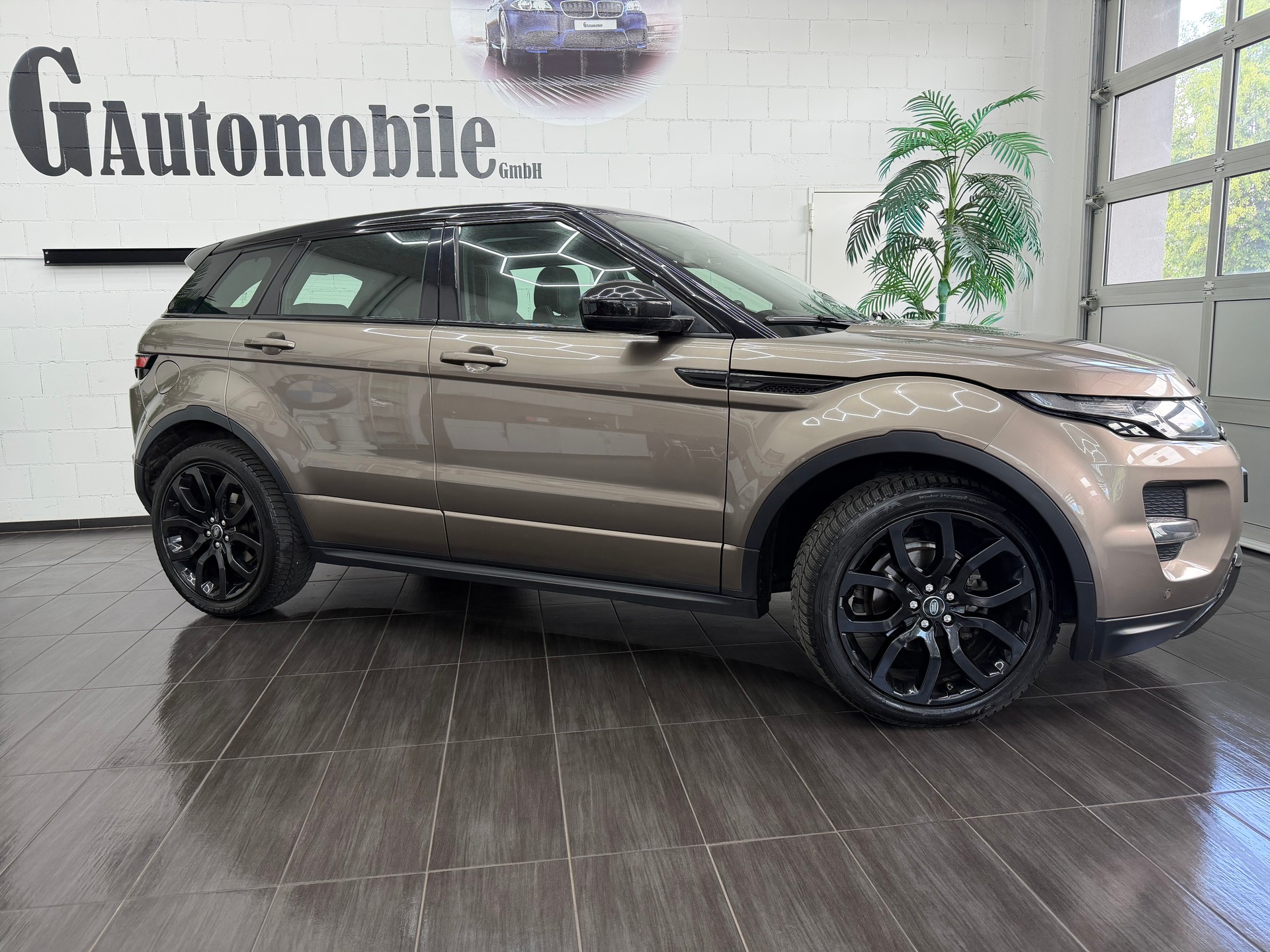 LAND ROVER Range Rover Evoque 2.2 TD4 Dynamic AT9⭐️-showroom-element-2