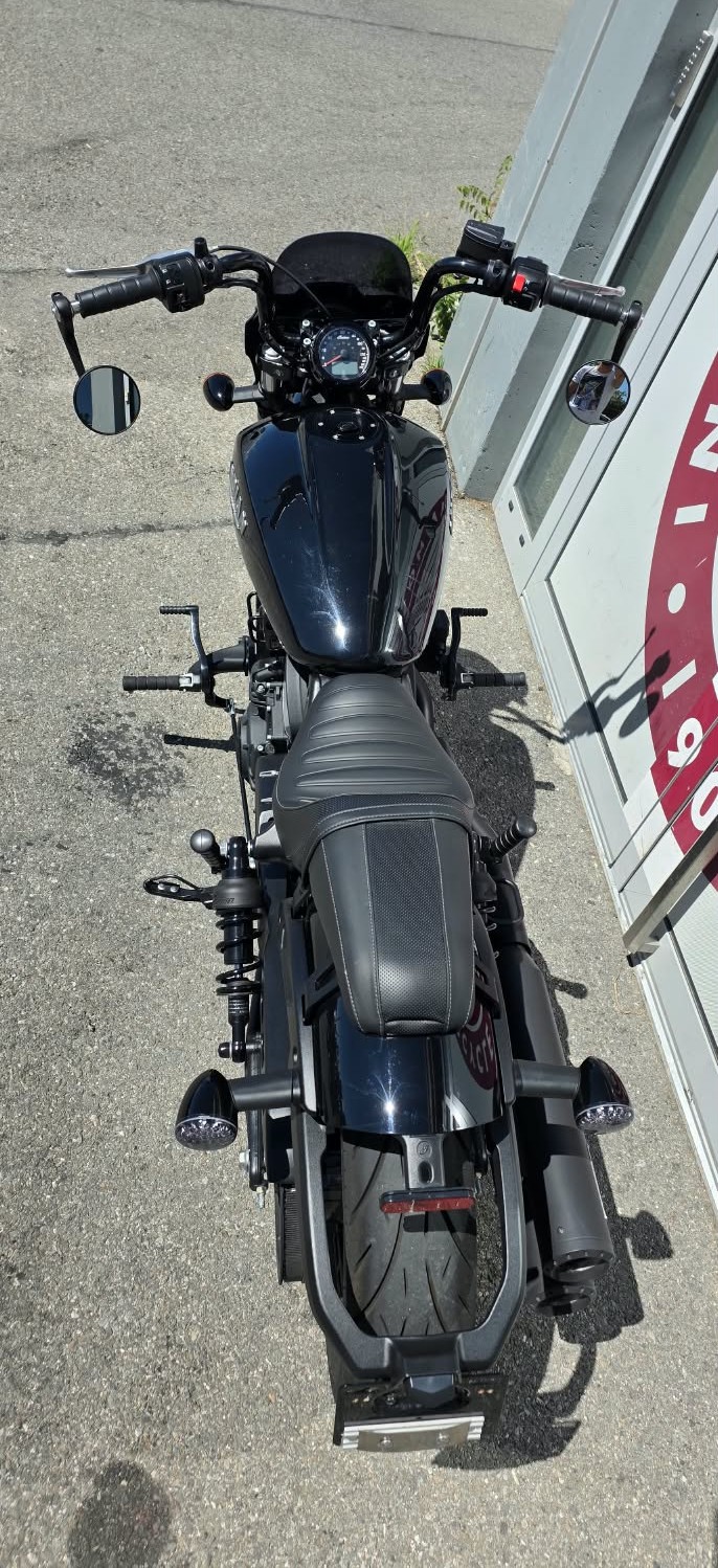 INDIAN Scout 1133 Rogue-image-6