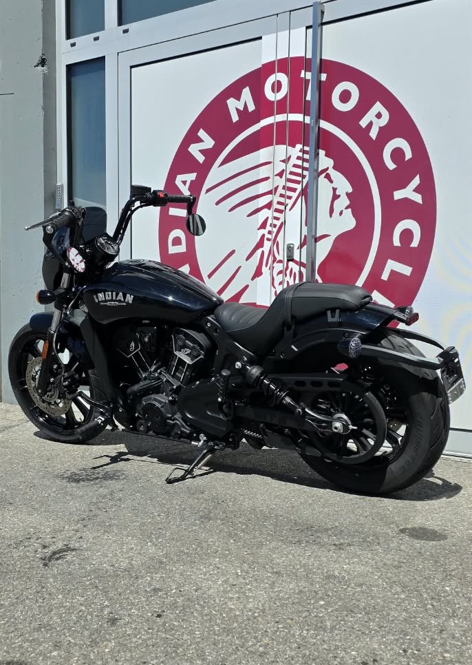 INDIAN Scout 1133 Rogue-image-4