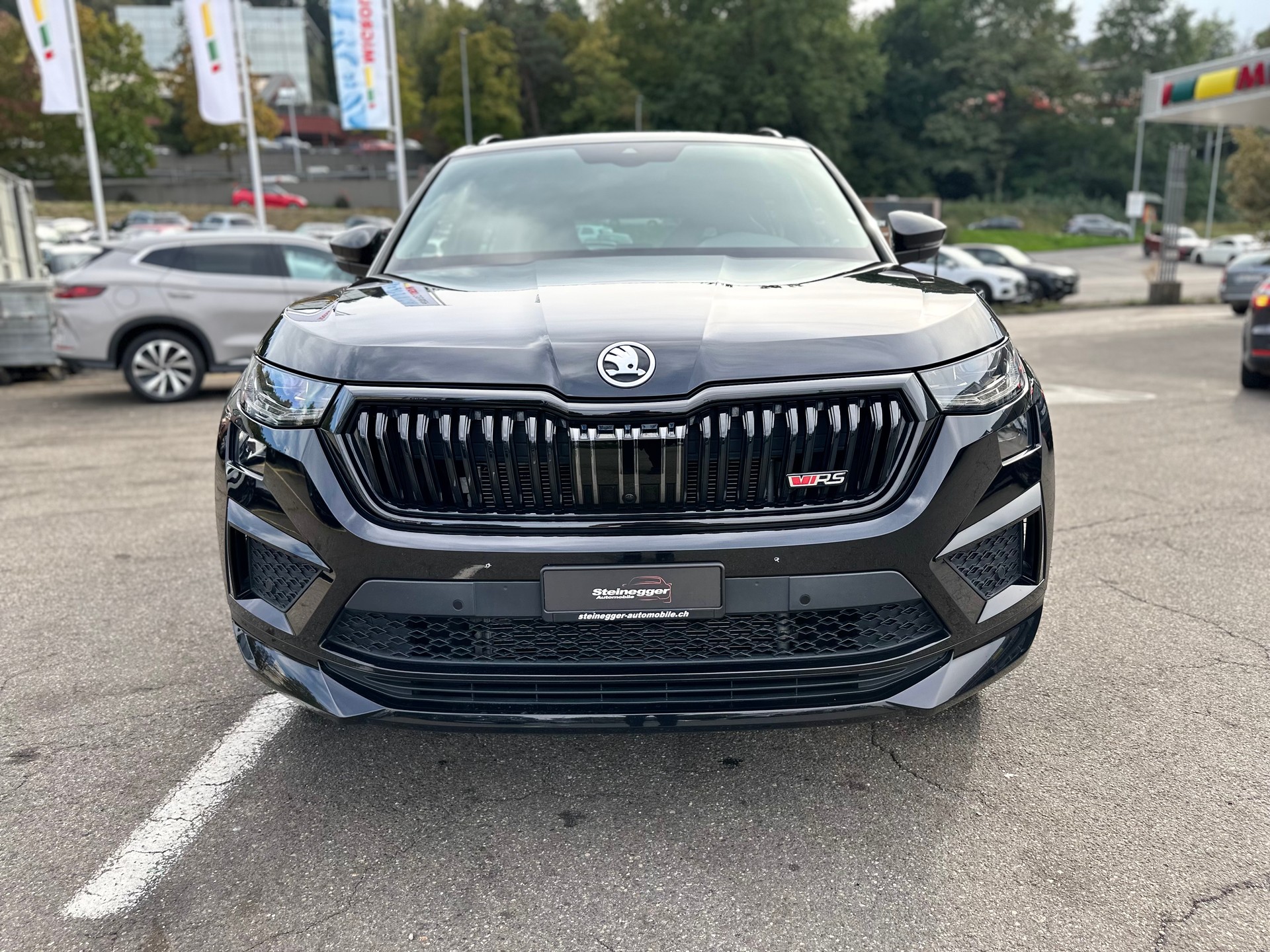 SKODA Kodiaq 2.0 TSI 4x4 RS-showroom-element-3