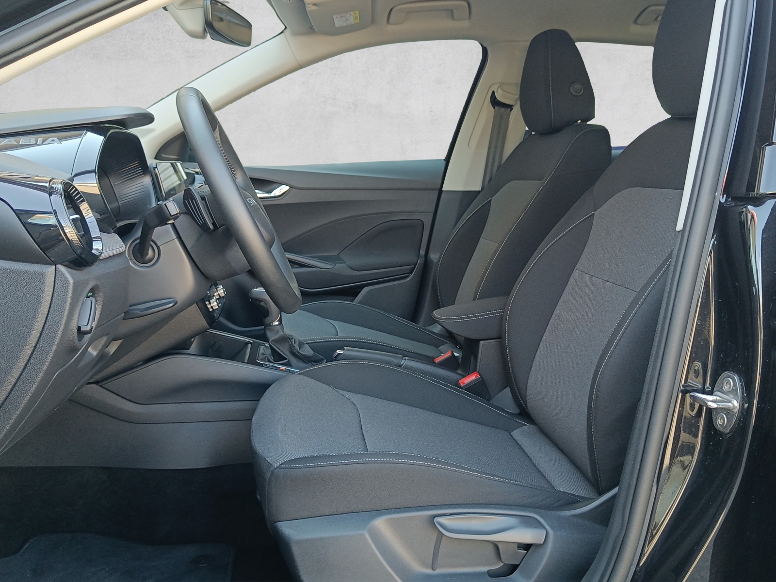 SKODA Fabia 1.0 TSI Selection Tour DSG*Navi*Climatronic*LED*Keyless*Kamera*Sitzheizung*-image-8