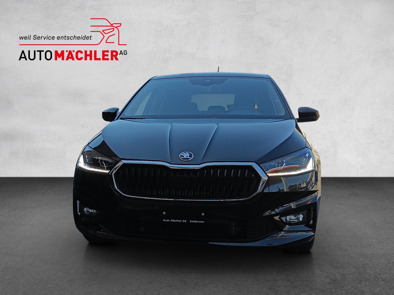 SKODA Fabia 1.0 TSI Selection Tour DSG*Navi*Climatronic*LED*Keyless*Kamera*Sitzheizung*-showroom-element-1