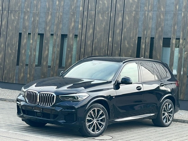 BMW X5 xDrive 48V 30d M Sport Steptronic-showroom-element-2