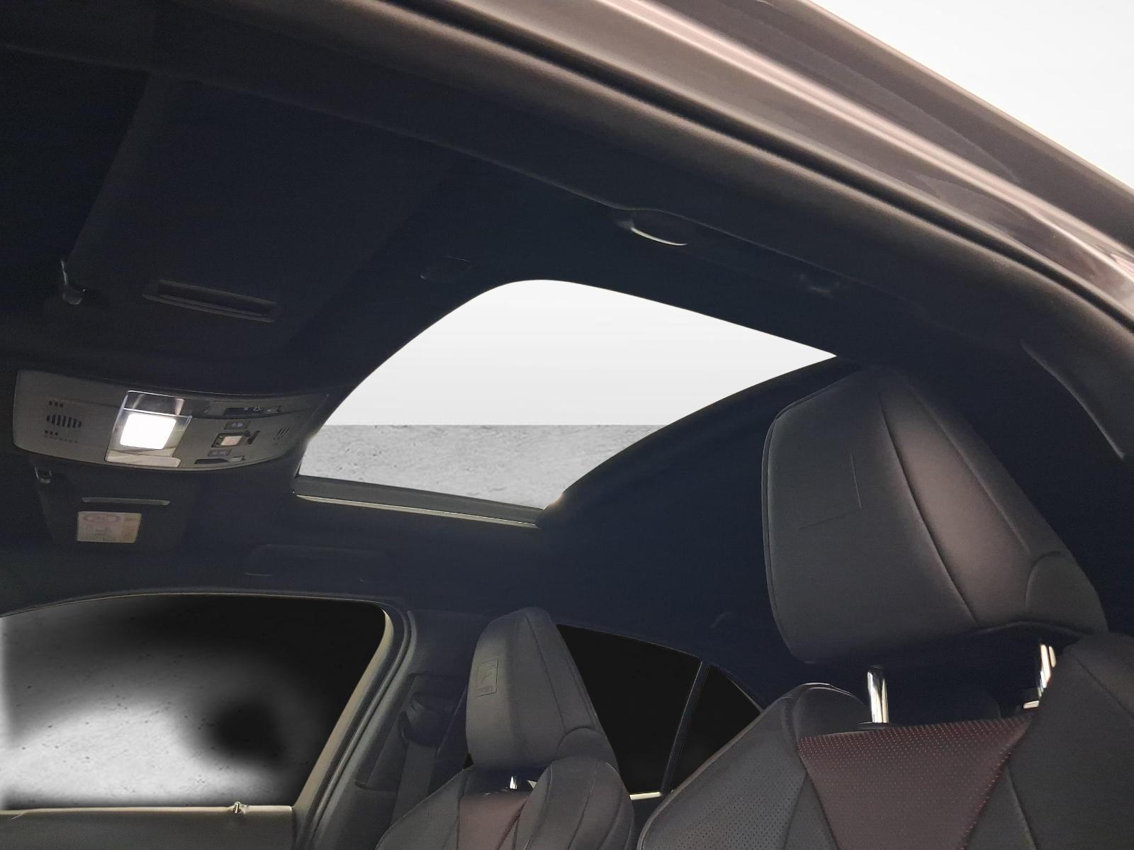 LEXUS UX 250h F-Sport-image-14