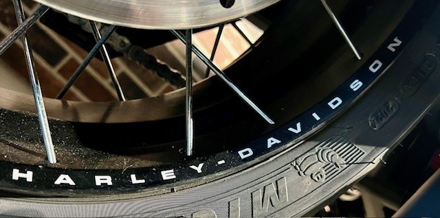HARLEY-DAVIDSON RA Pan America 1250 Special-image-14