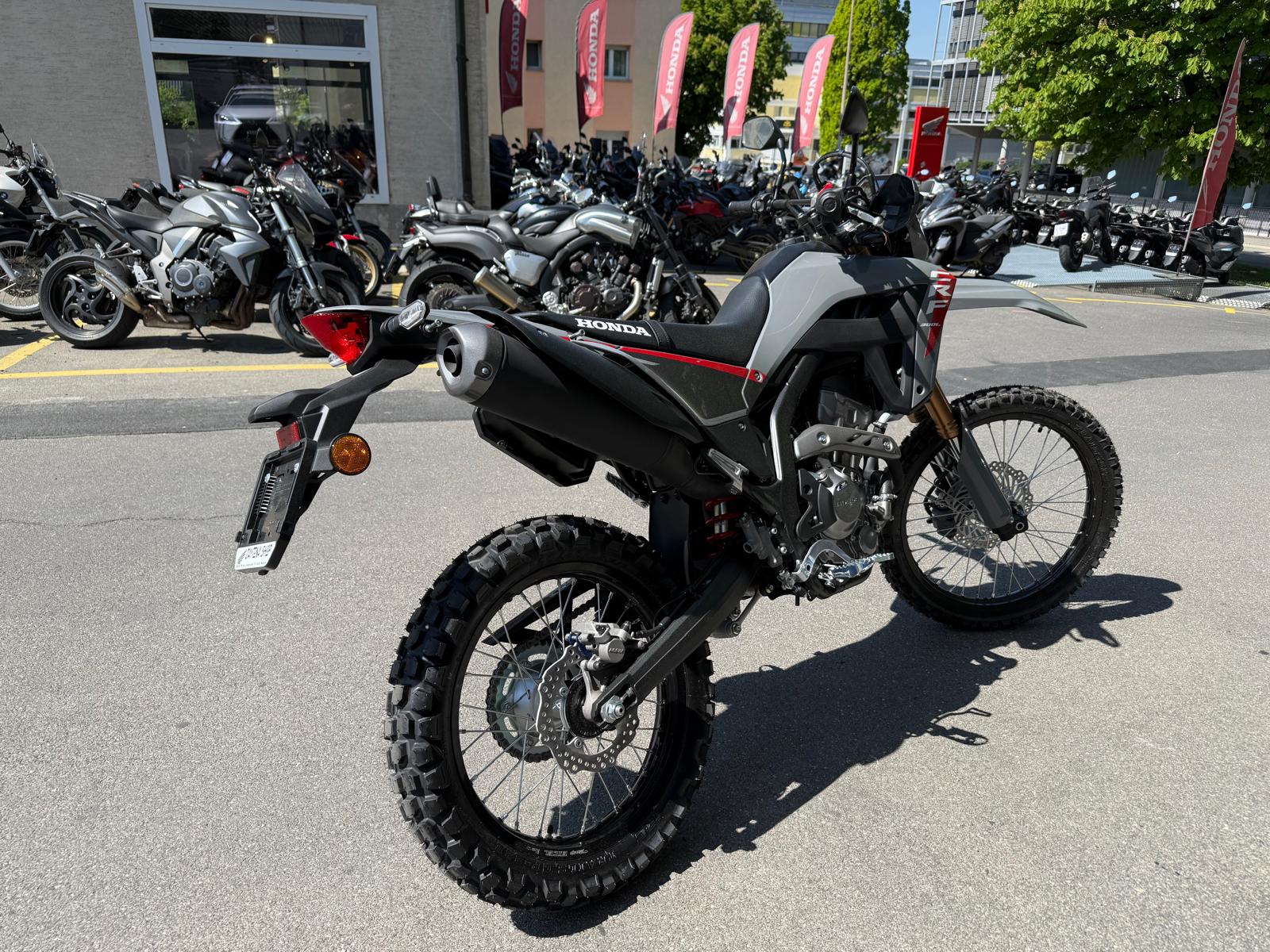 HONDA CRF 300 L-image-5