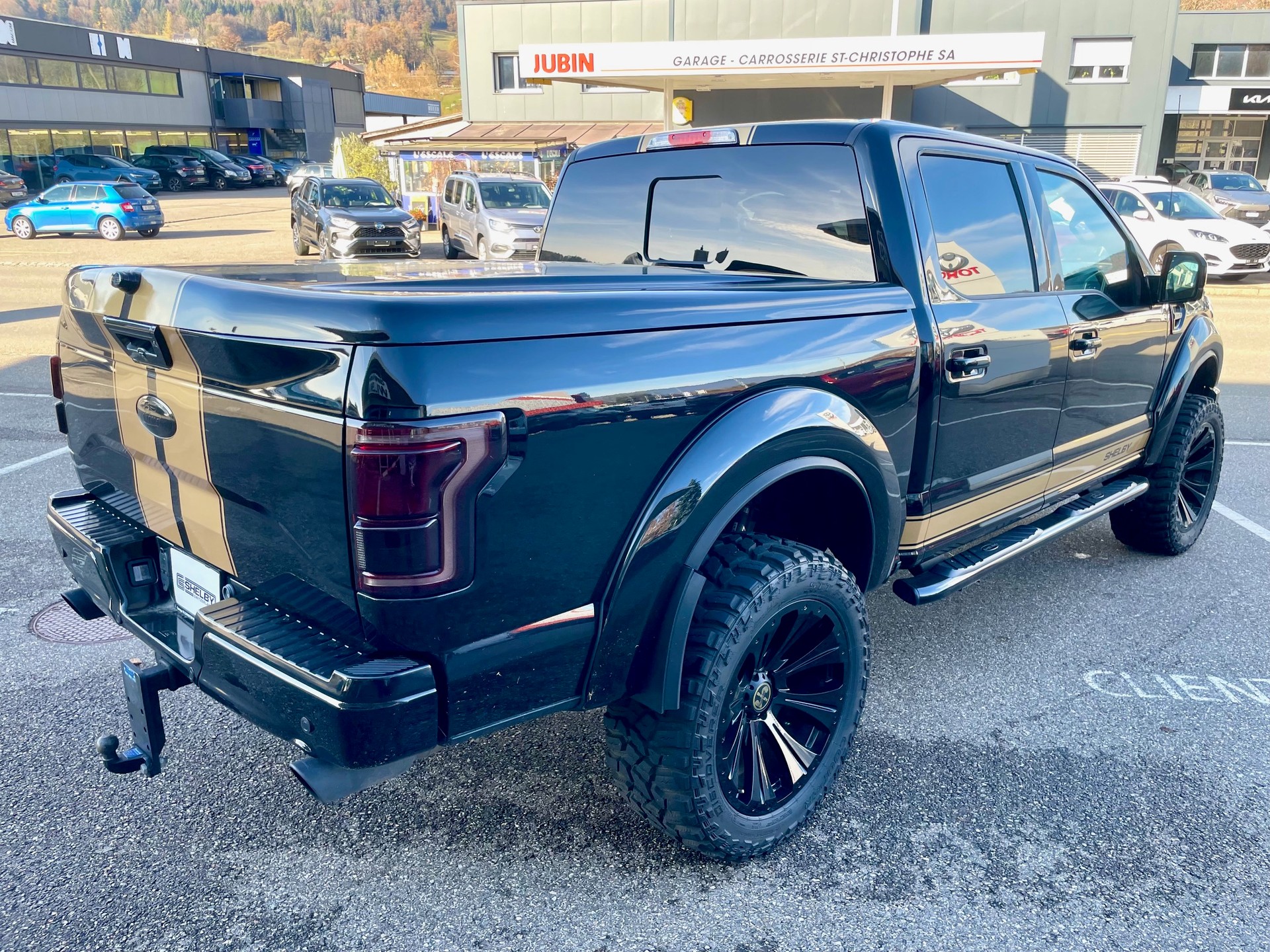 FORD Shelby F150 Offroad-image-3