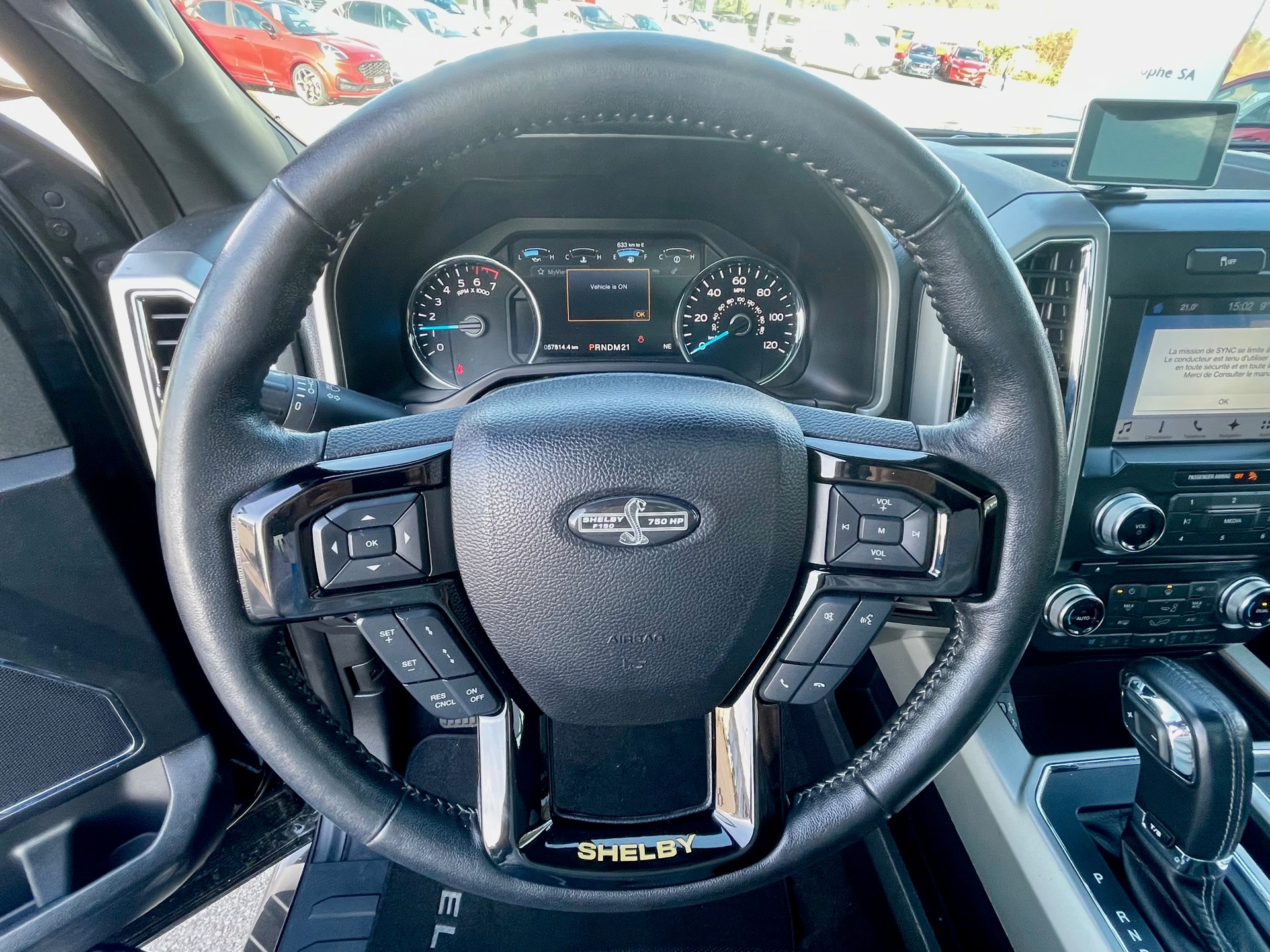 FORD Shelby F150 Offroad-image-12