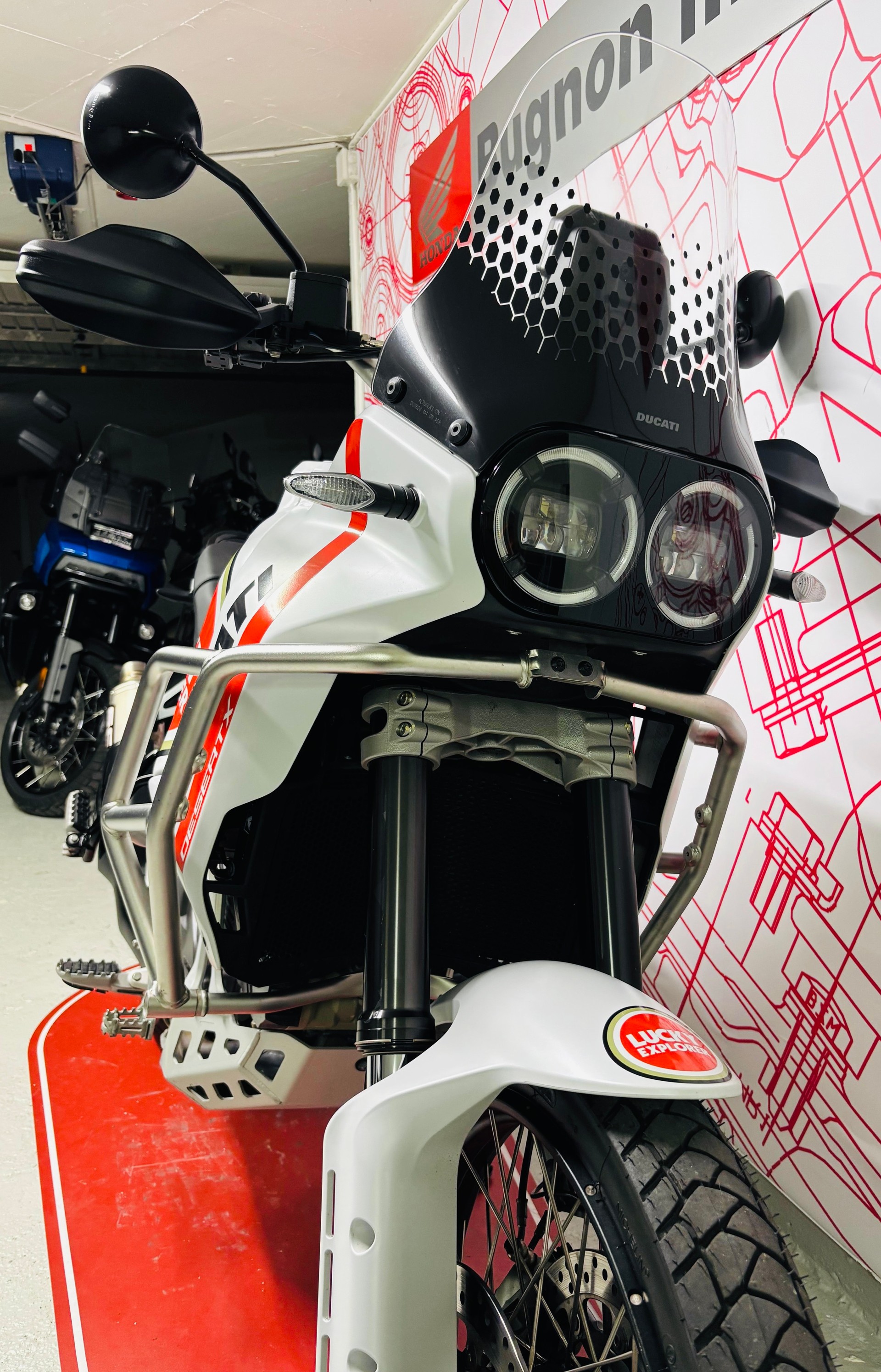DUCATI Desert X-image-4