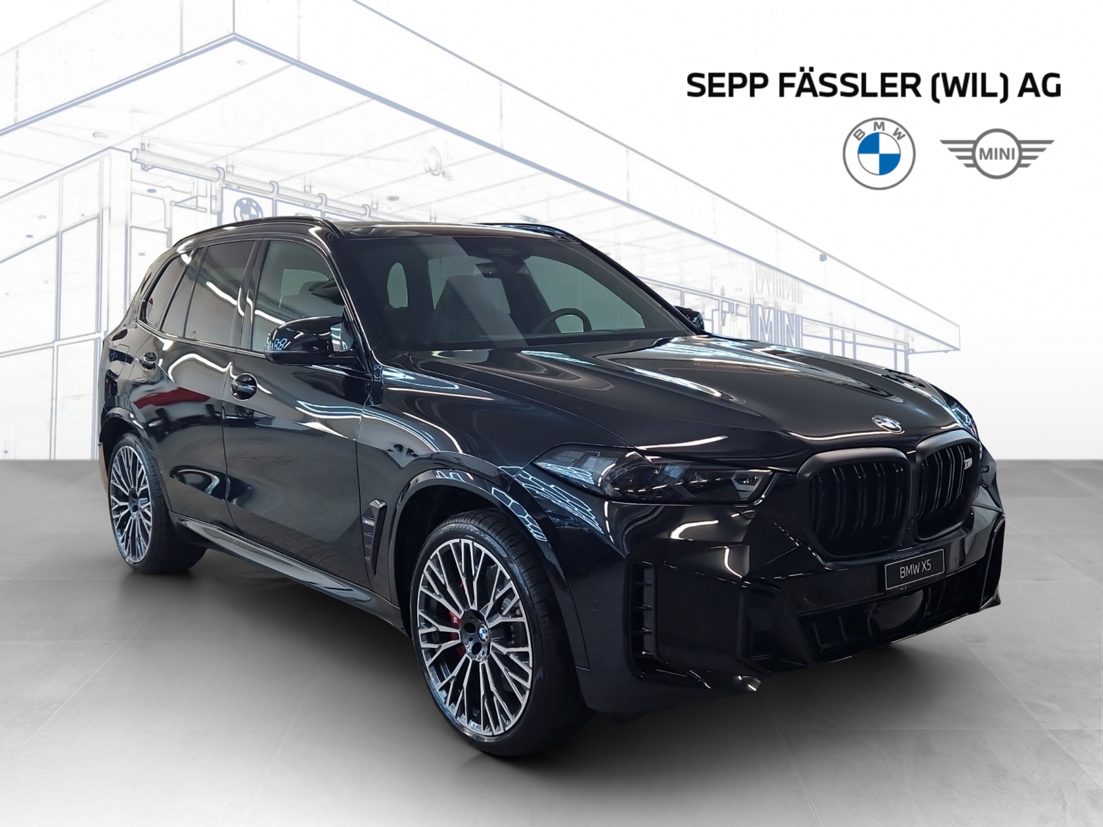BMW X5 xDrive 48V M60i M Sport Pro Steptronic-image-2