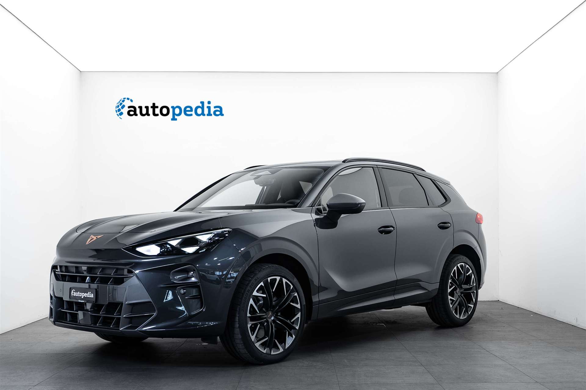 CUPRA CUPRA Terramar 2.0 TSi 4Drive VZ 265PS DSG