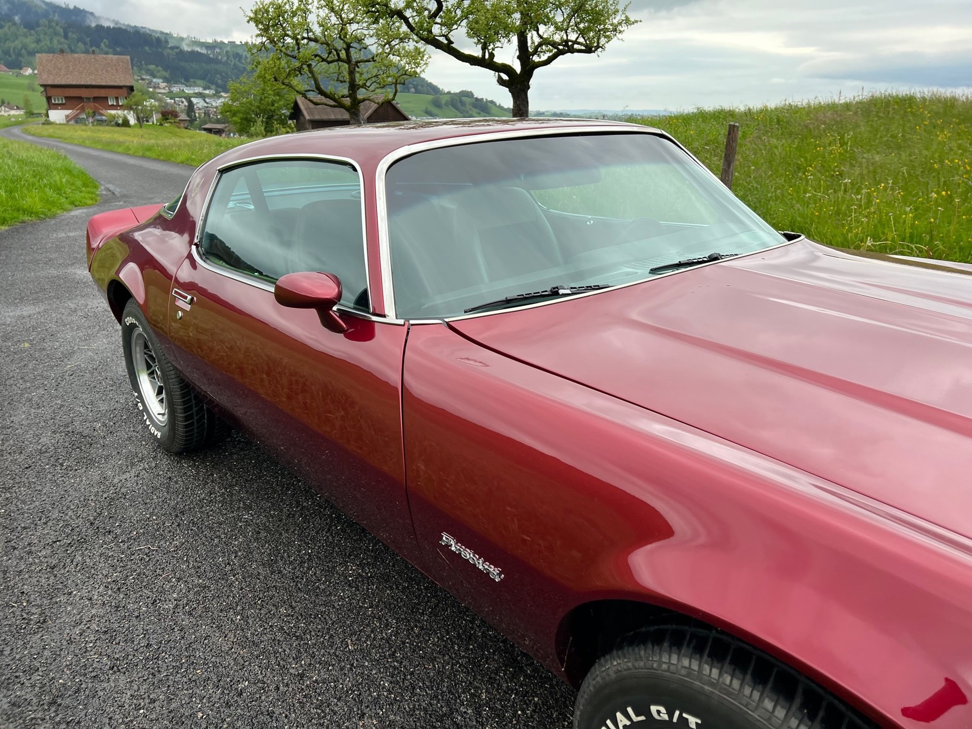 PONTIAC FIREBIRD Formula 400 (Veteran neu)-image-5