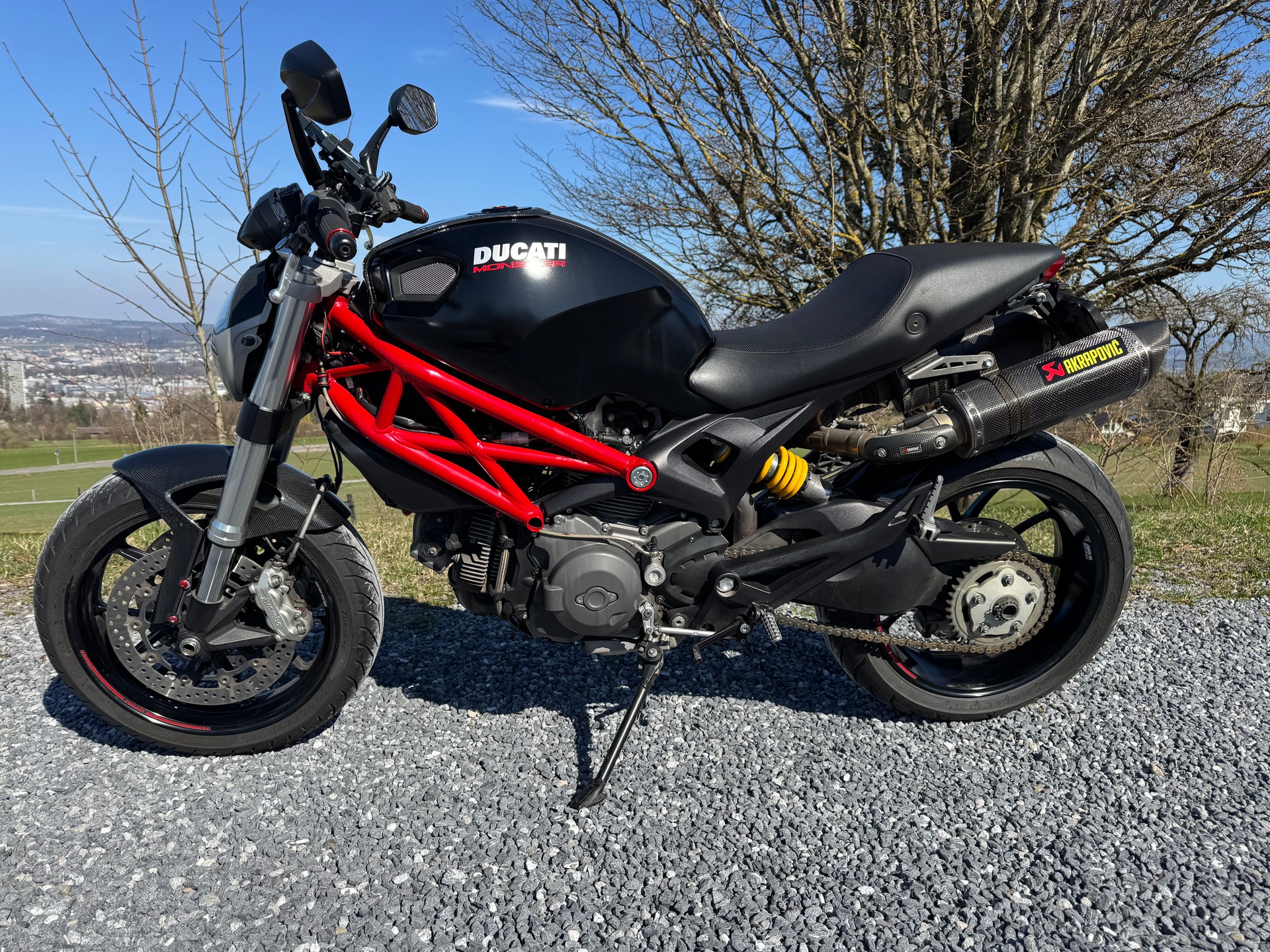 DUCATI Monster 796M ABS (25kW)-image-2